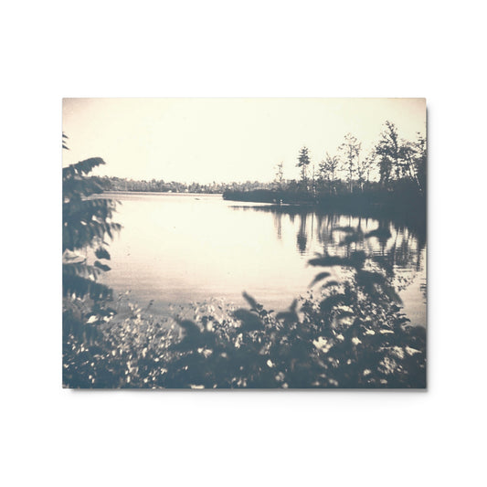 1950's Swan pond - Metal prints