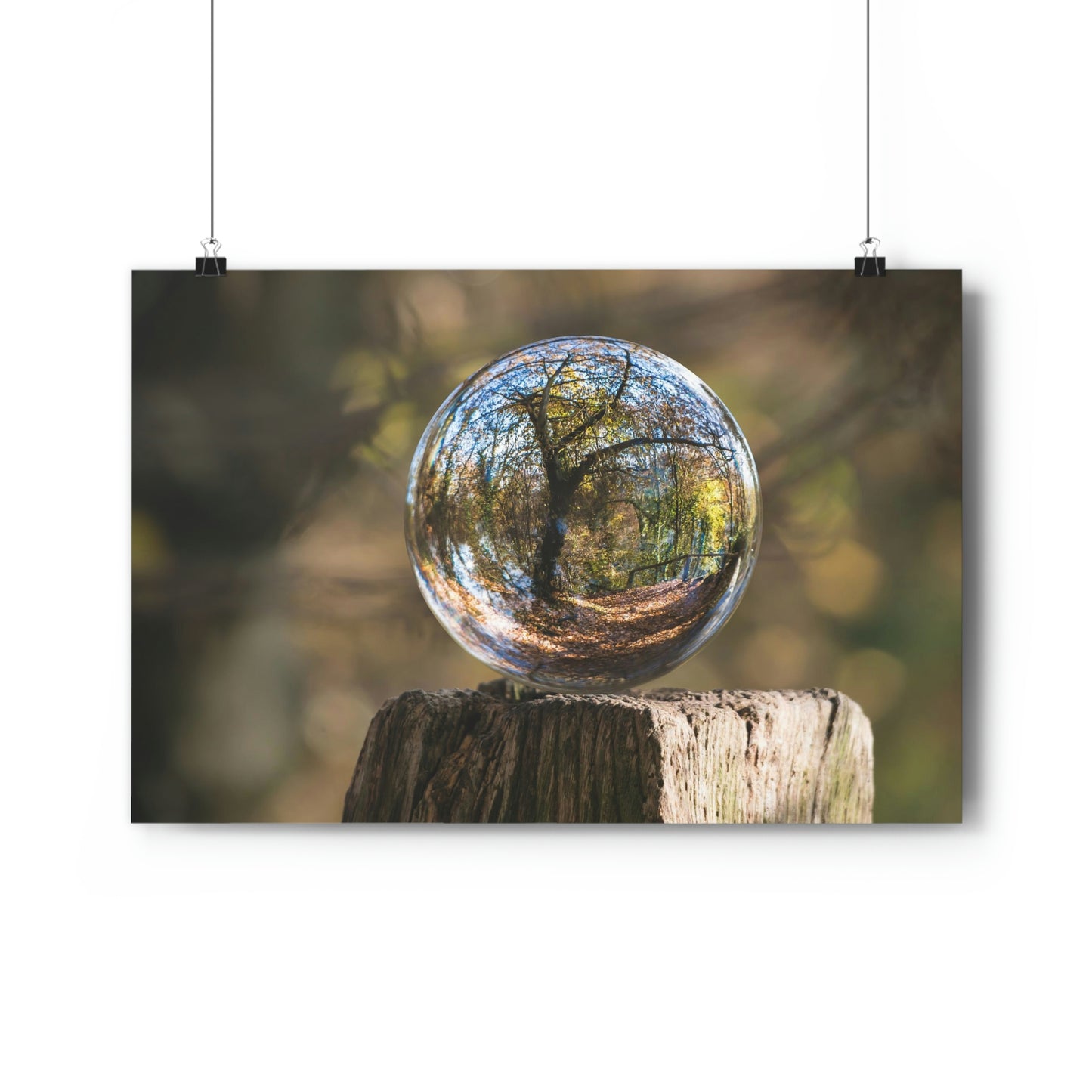 Forest, Globe, Nature, Forest Globe - Premium Poster
