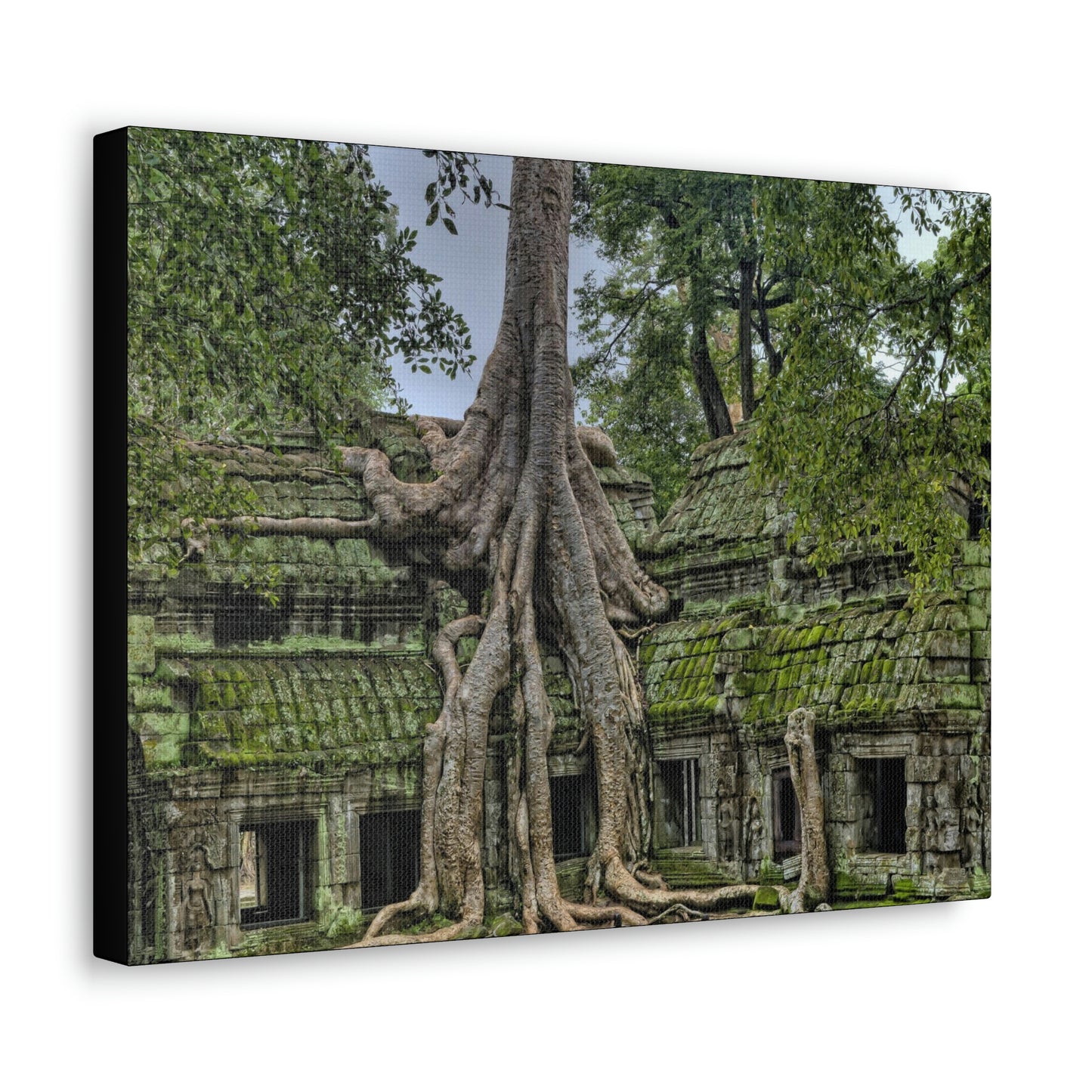 Jungle Temple - nature, trees Canvas Gallery Wraps