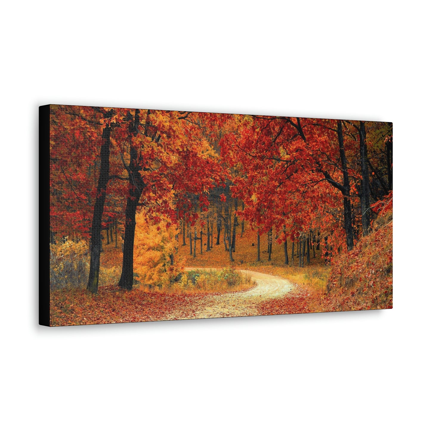 Fall Trail - Foliage forest - Canvas Gallery Wraps