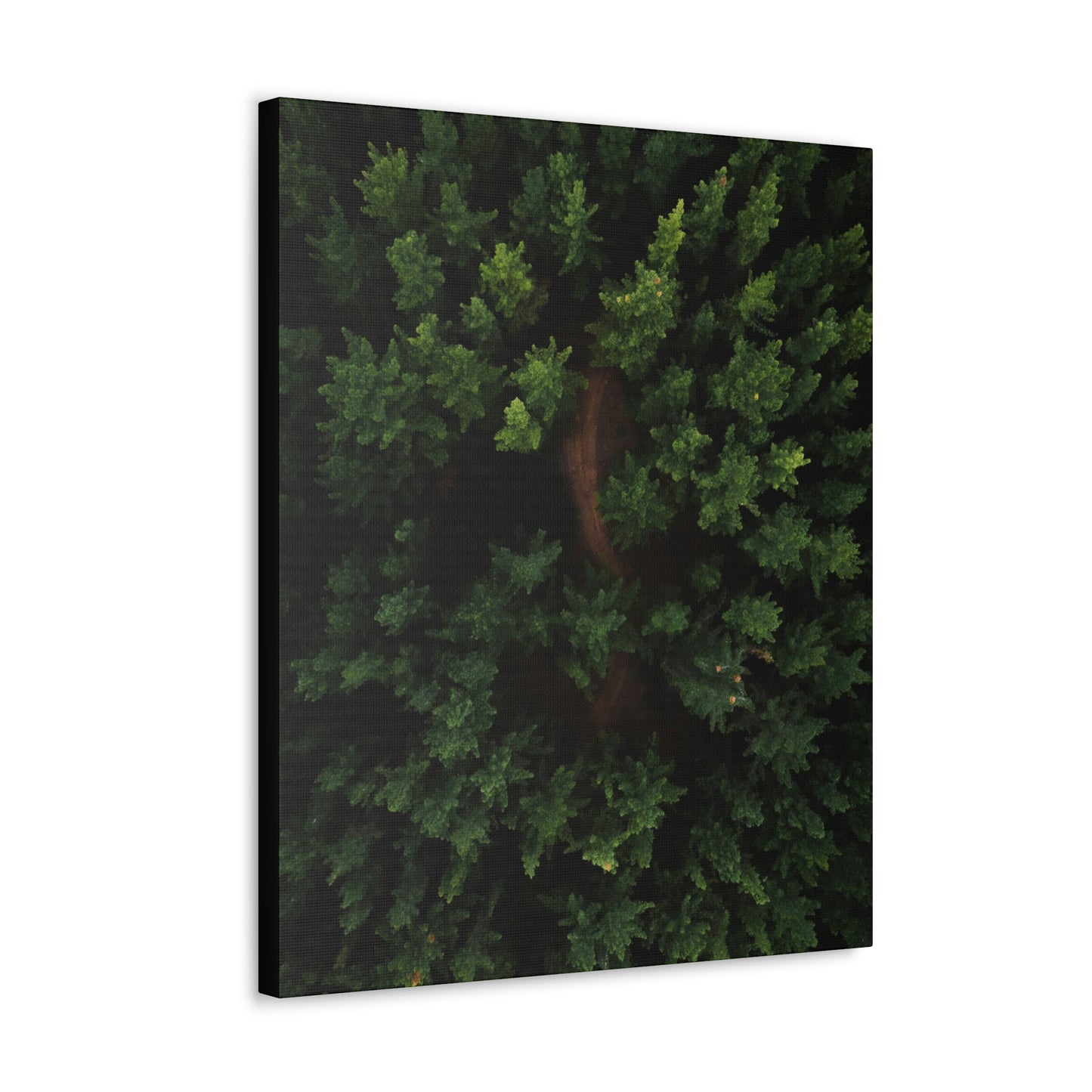 Forest eagle-view - Canvas Gallery Wraps
