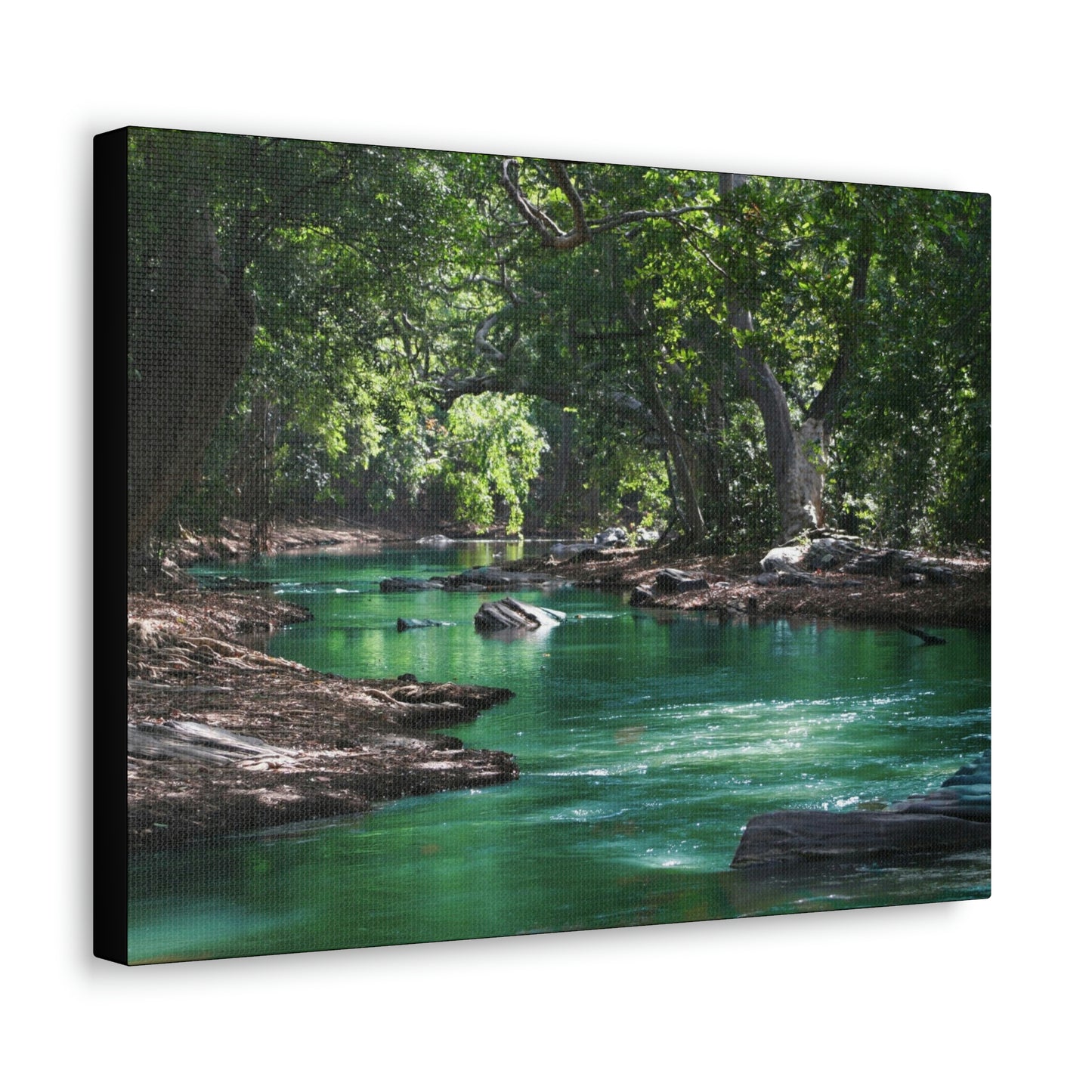 Scenic River - Forest - Canvas Gallery Wraps