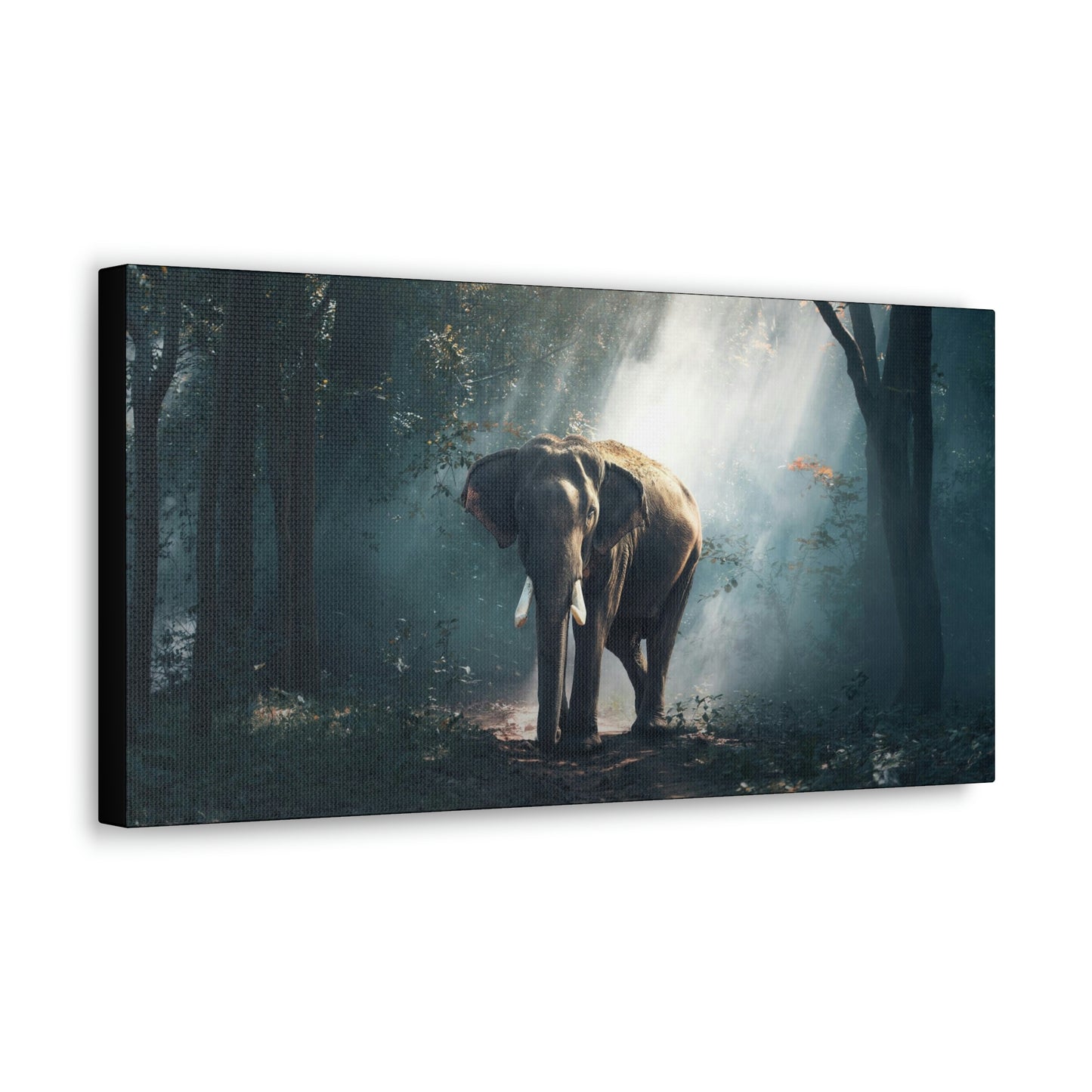 Elephant - Nature, Jungle Canvas Gallery Wraps