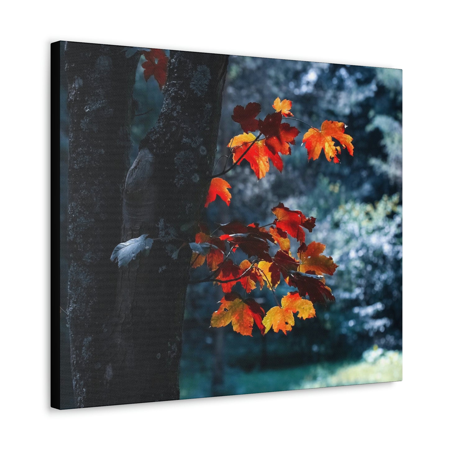 The last Leaves, Fall, Foliage, Nature, Forest - Canvas Gallery Wraps