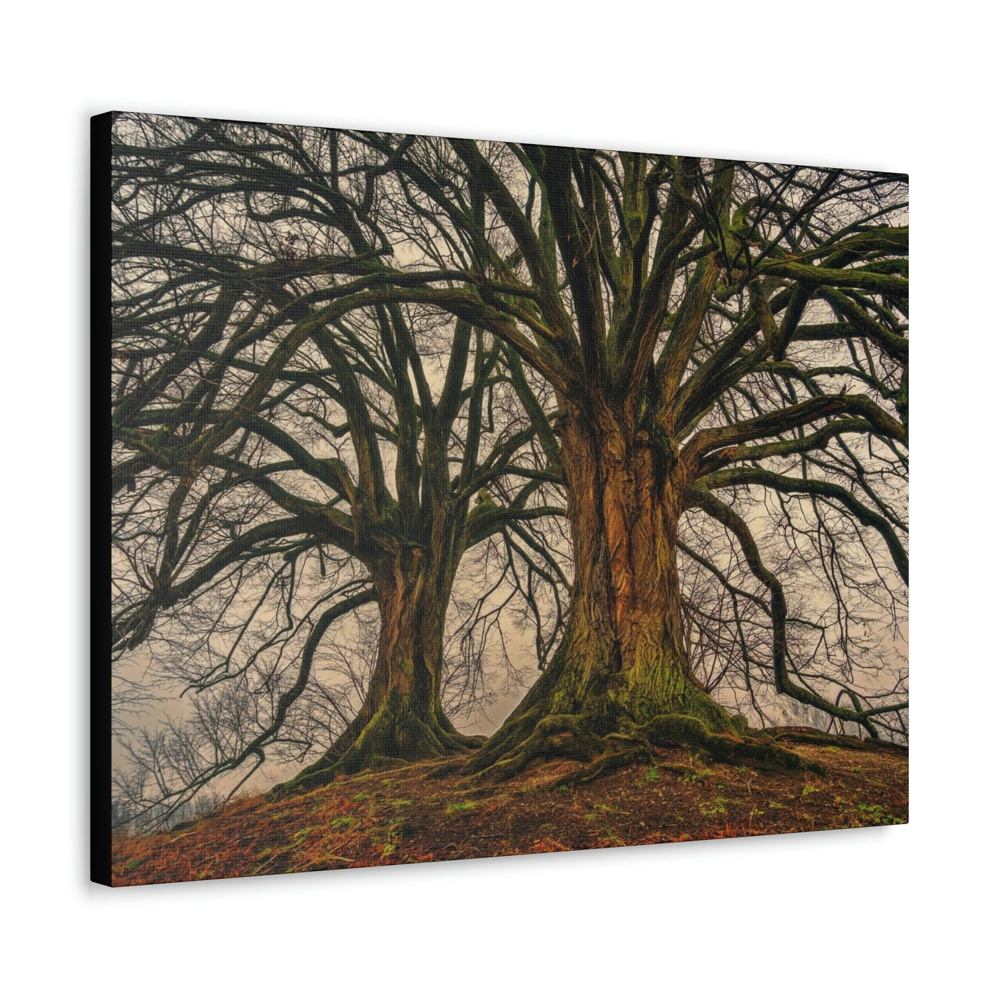 Dark Trees - Nature, Trees, Dark Canvas Gallery Wraps