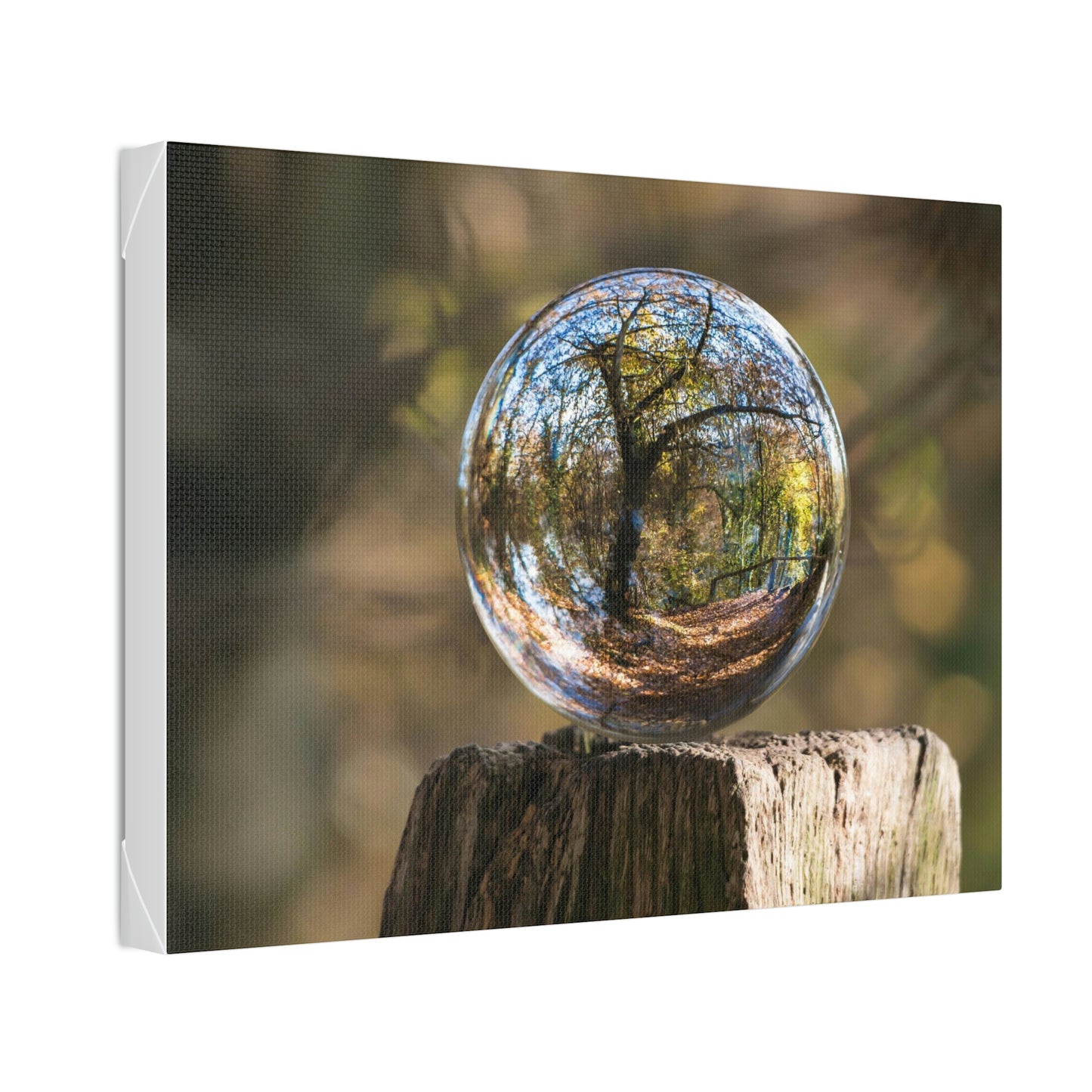 Forest, Globe, Trees, Nature, Forest Globe - Polyester Canvas