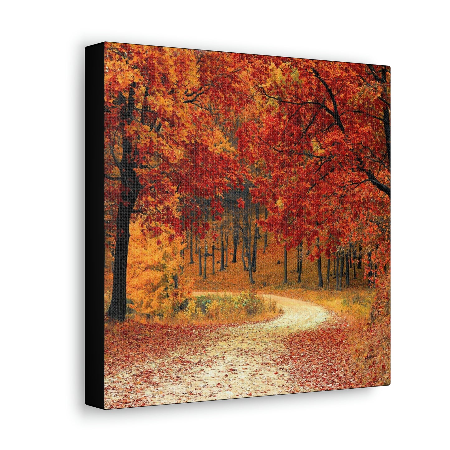 Fall Trail - Foliage forest - Canvas Gallery Wraps