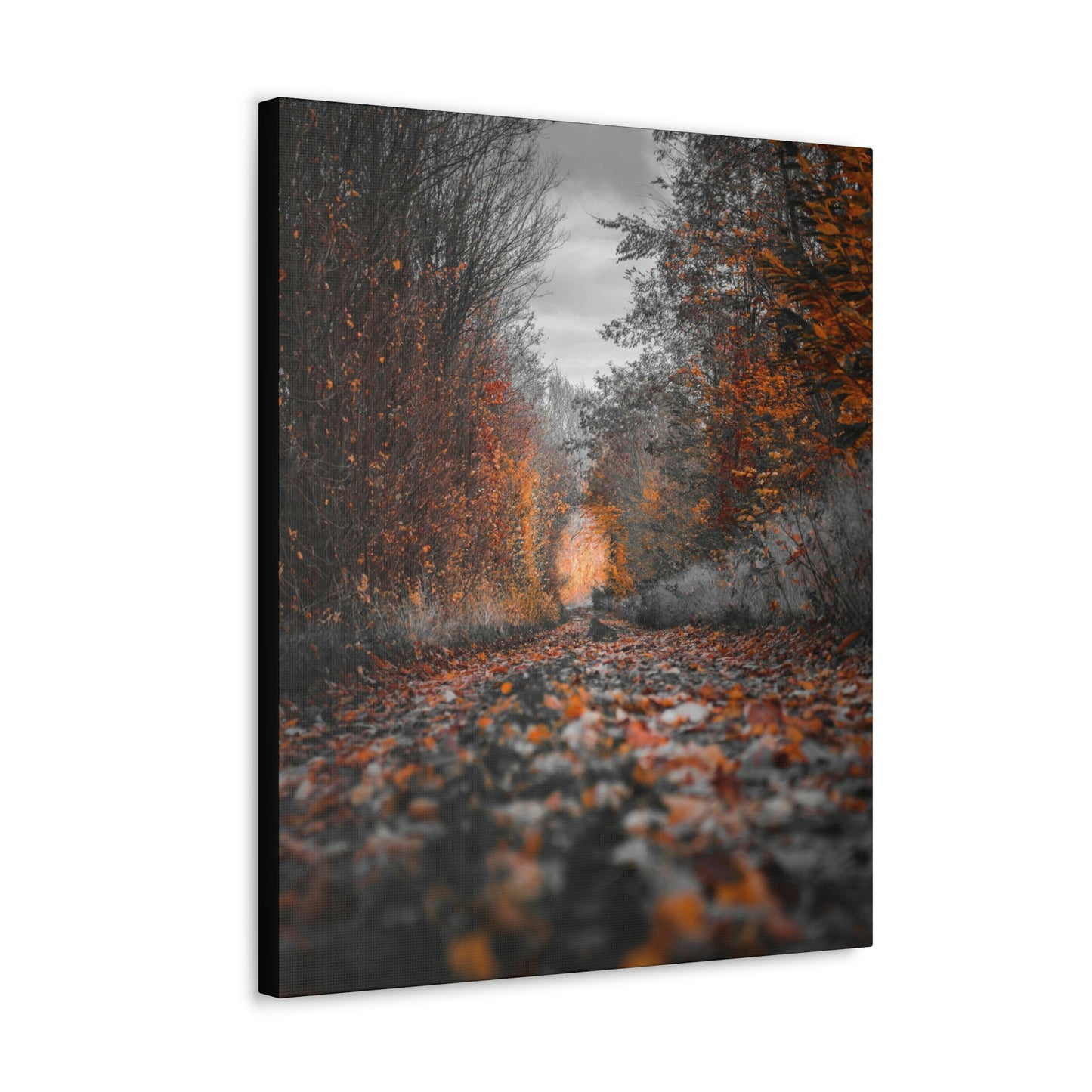 Fall road - Foliage, Nature, Forest, Leaves - Canvas Gallery Wraps