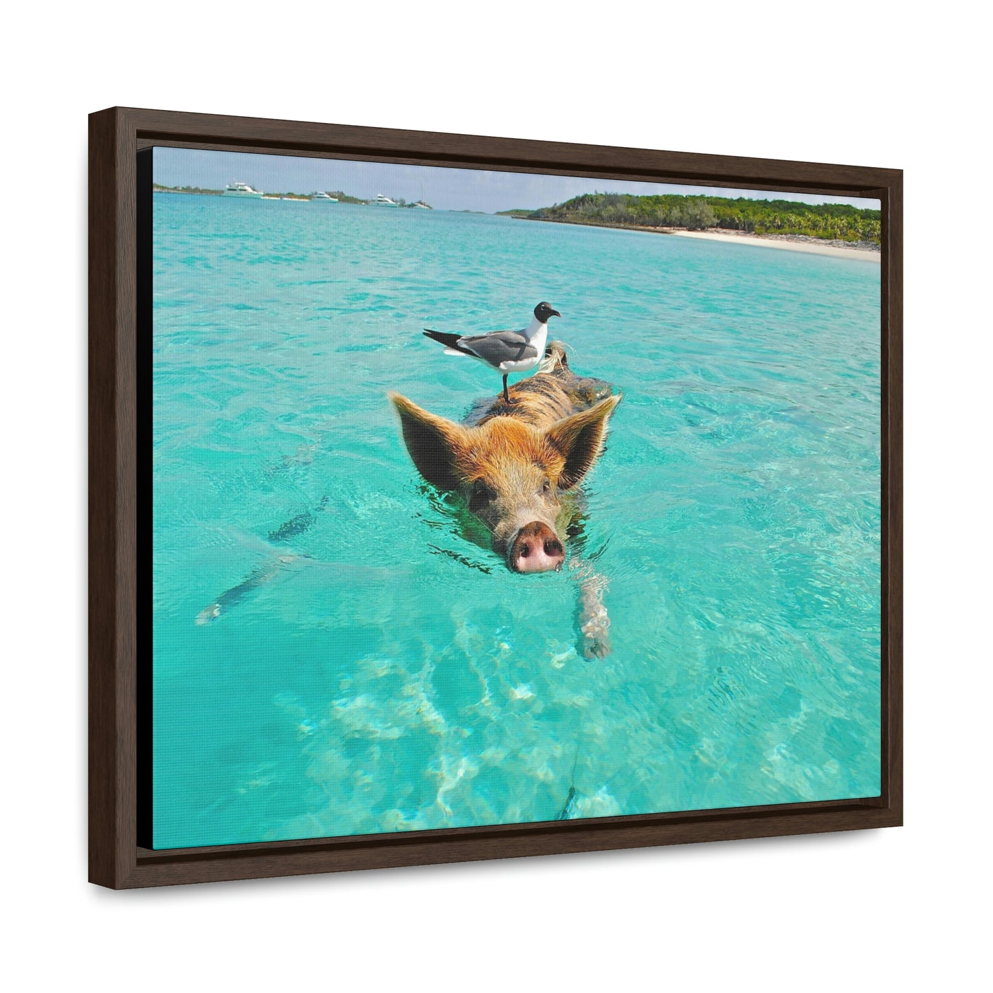 Ocean hog - Gallery Canvas Wraps, Horizontal Frame