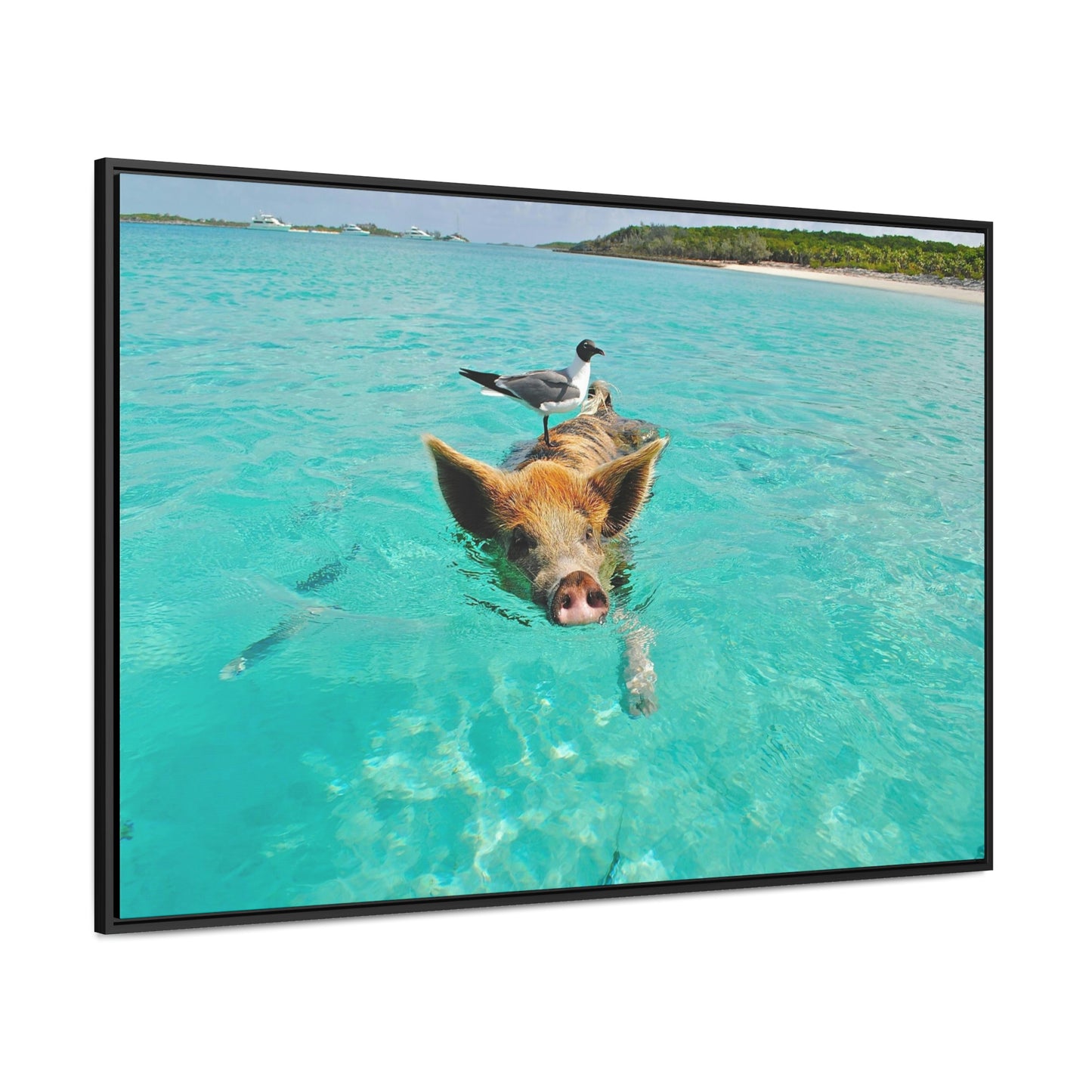 Ocean hog - Gallery Canvas Wraps, Horizontal Frame