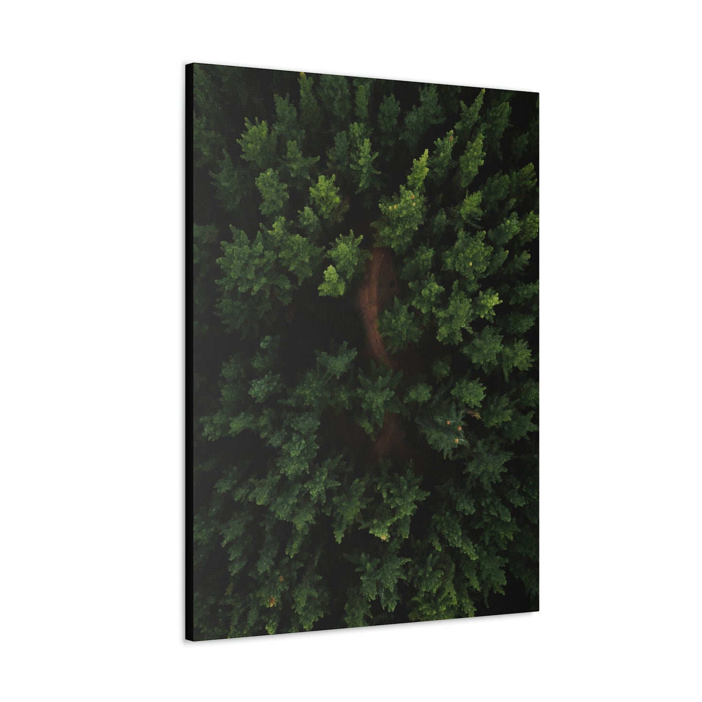 Forest eagle-view - Canvas Gallery Wraps