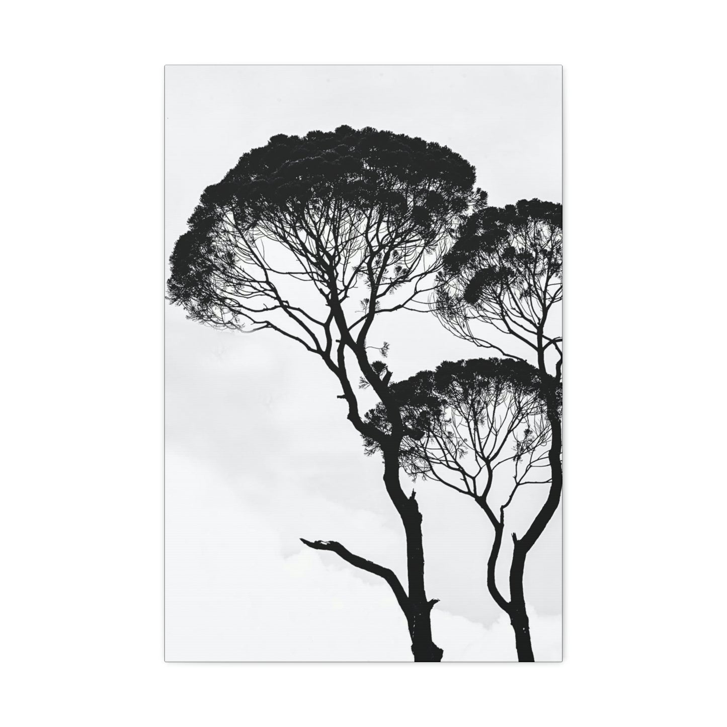Black and White Trees, Trees, Savannah, Safari - Polyester Canvas