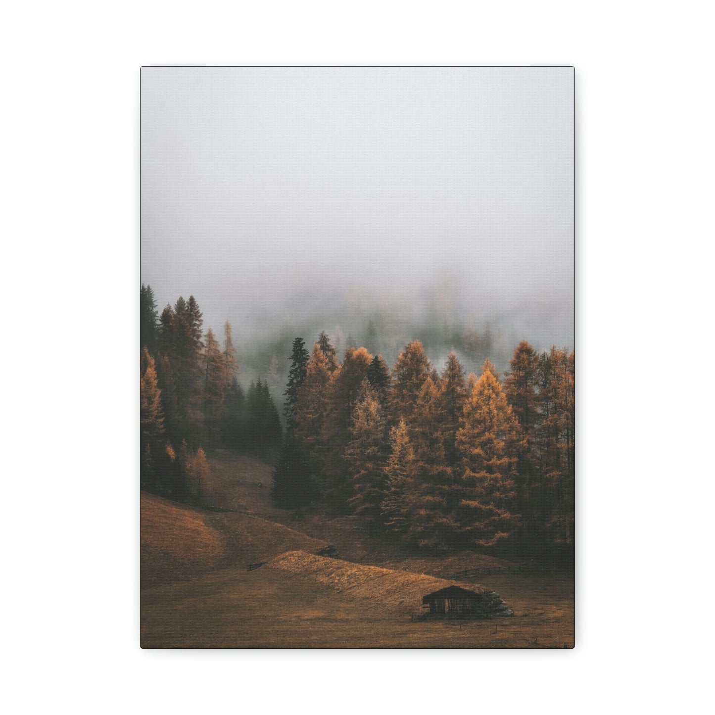 Smokey Mountains, Forest, Fog - Classic Canvas