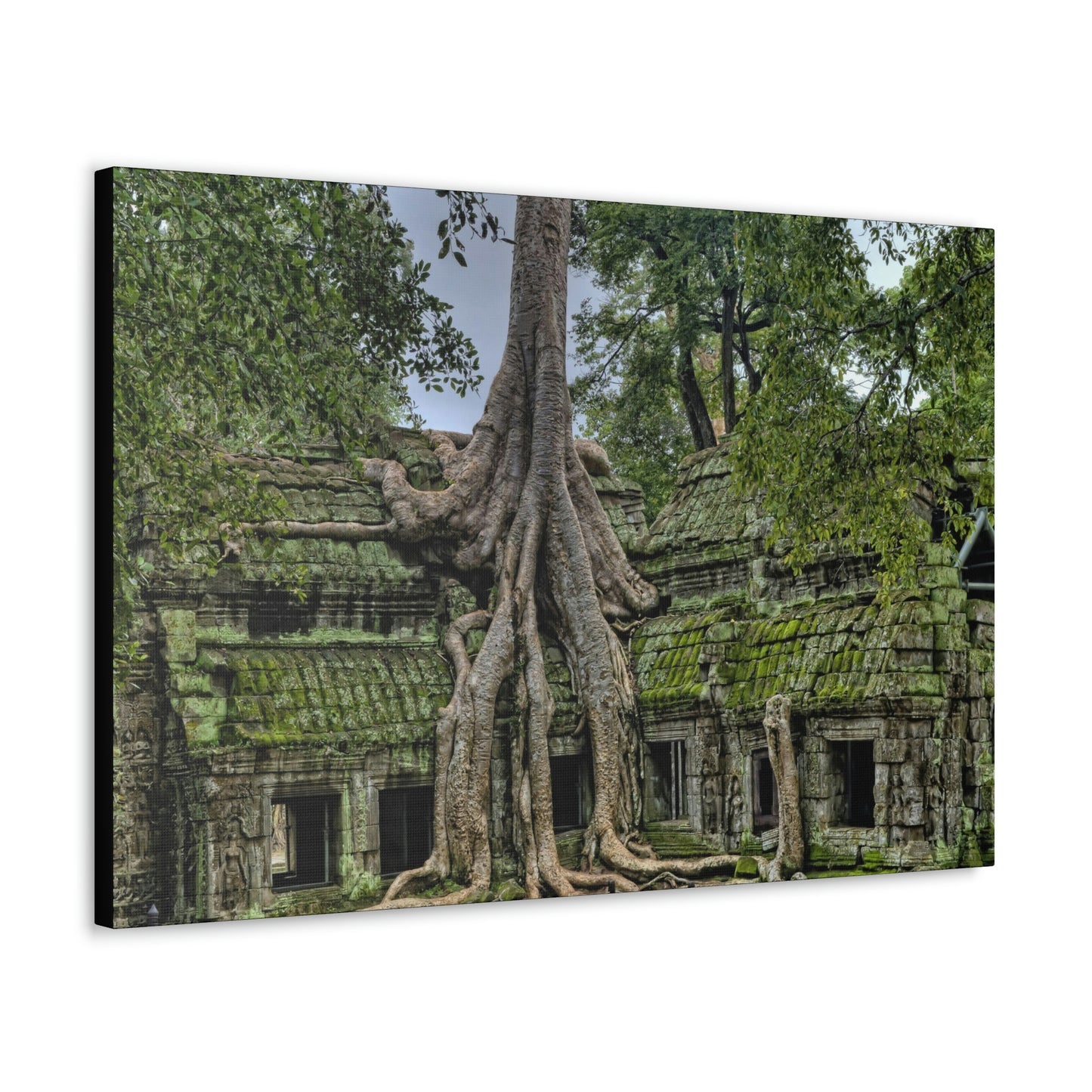 Jungle Temple - nature, trees Canvas Gallery Wraps