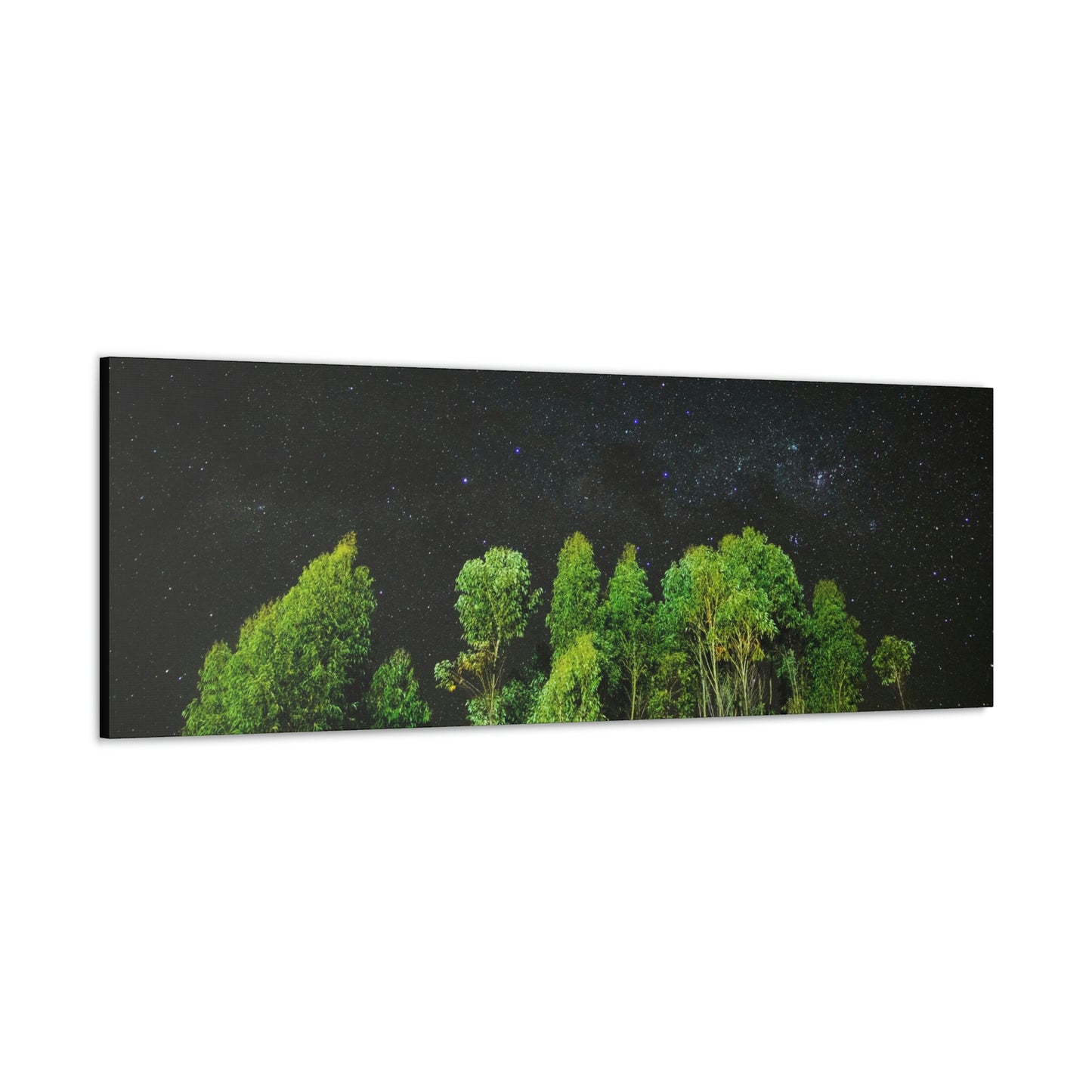 Starry Forest - Star, Forest, Nature - Canvas Gallery Wraps
