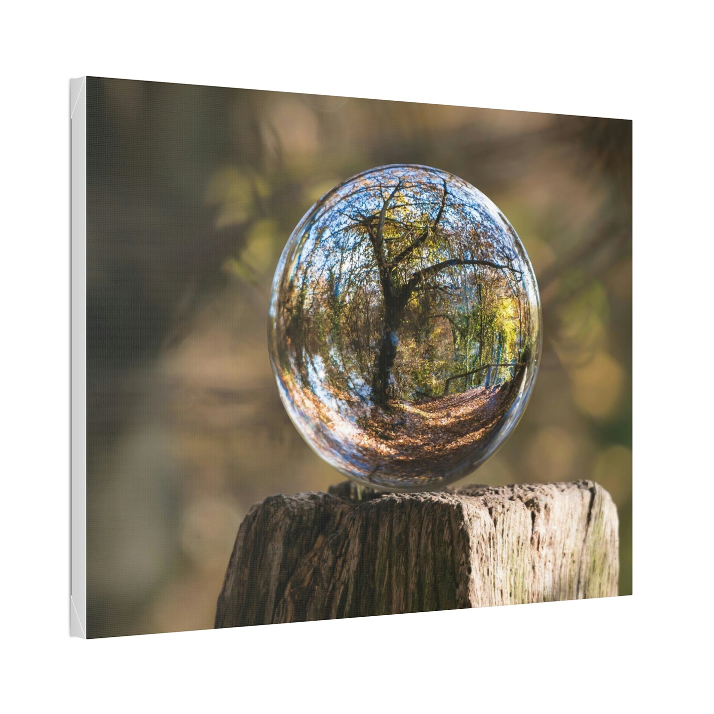 Forest, Globe, Trees, Nature, Forest Globe - Polyester Canvas