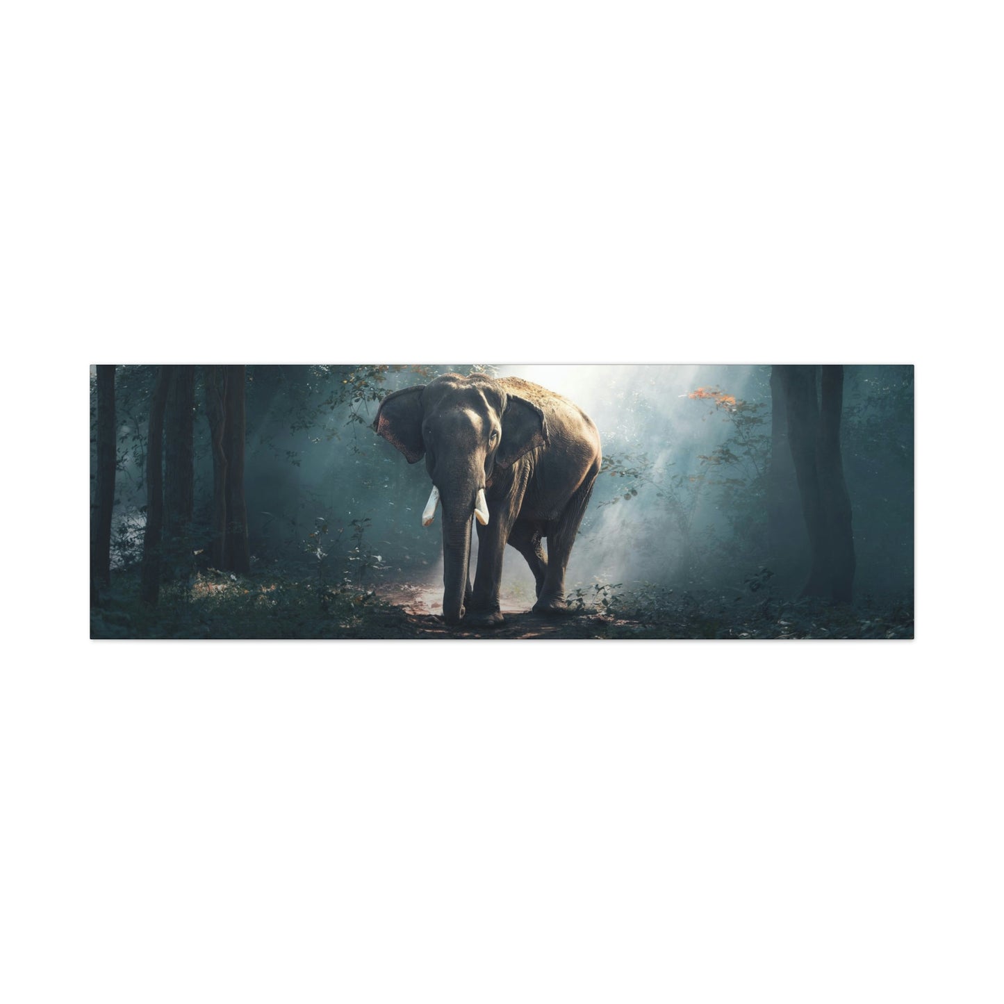 Elephant - Nature, Jungle Canvas Gallery Wraps