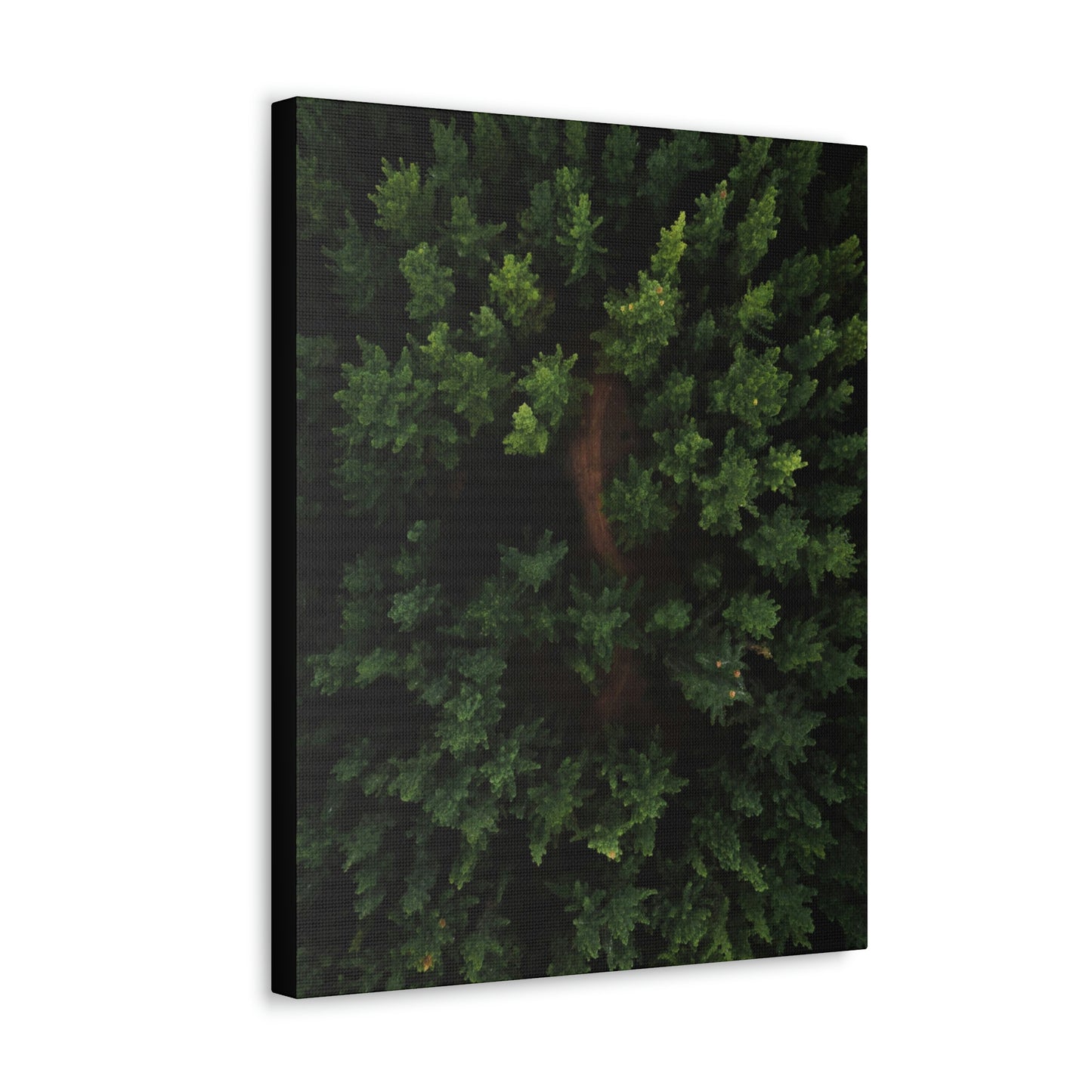Forest eagle-view - Canvas Gallery Wraps