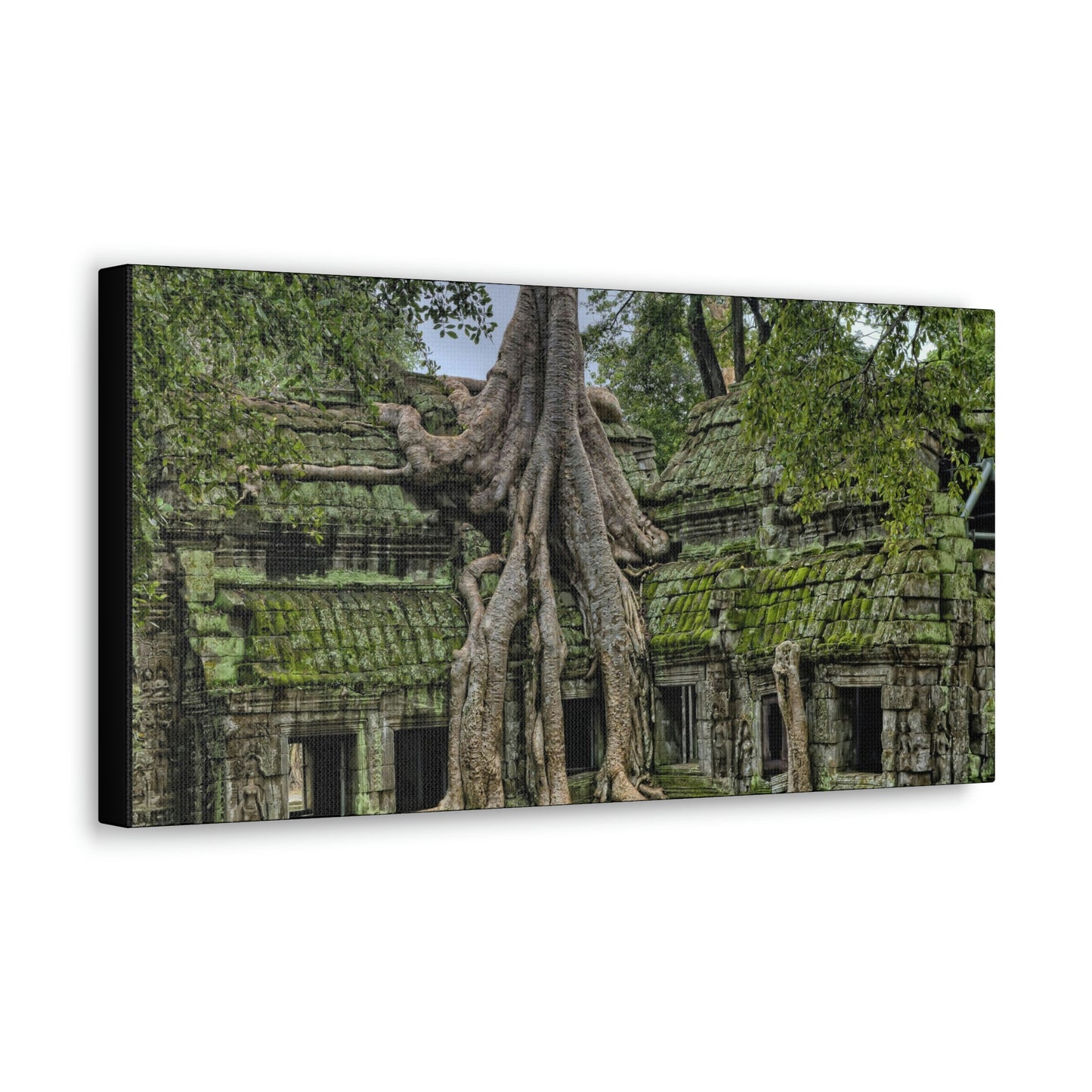 Jungle Temple - nature, trees Canvas Gallery Wraps