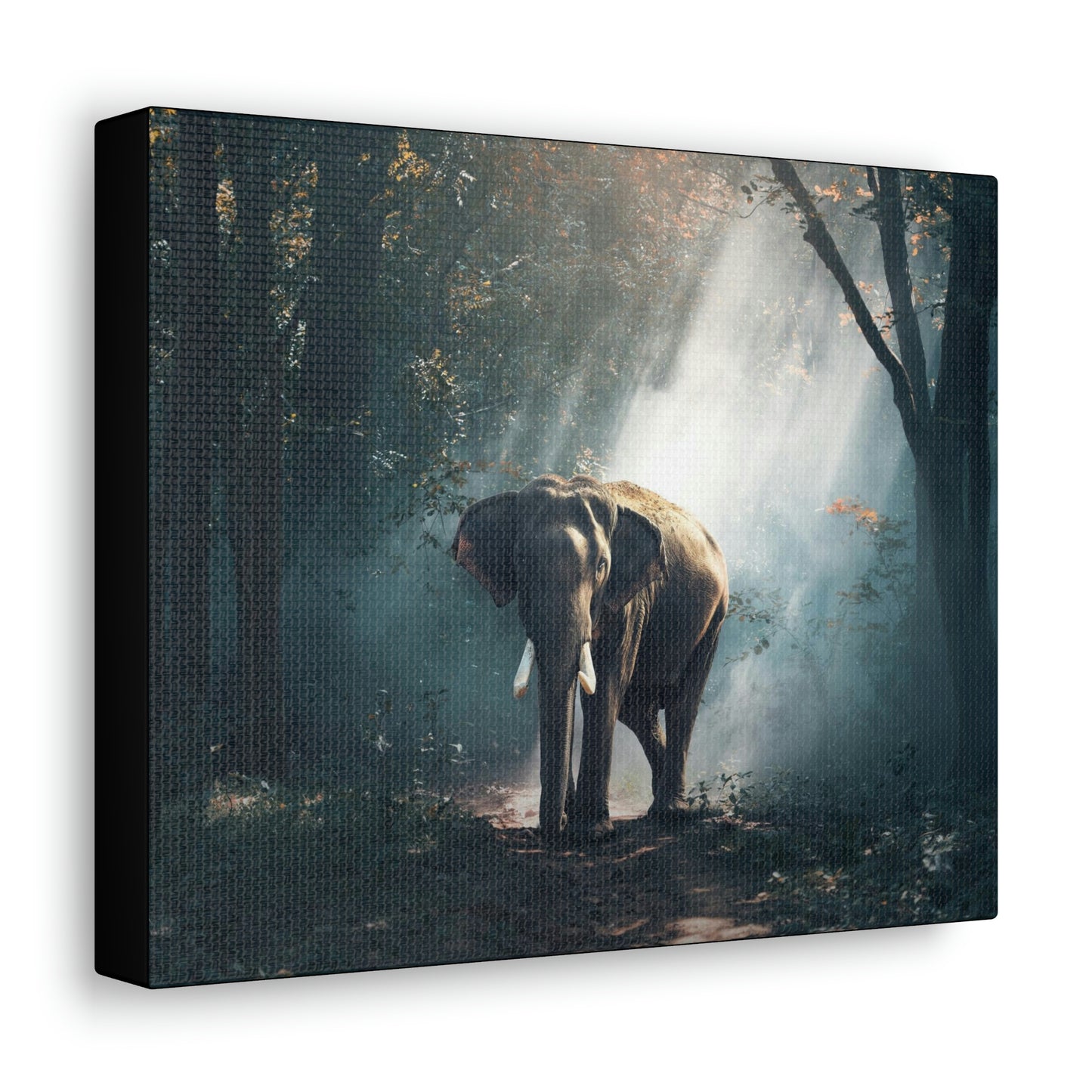 Elephant - Nature, Jungle Canvas Gallery Wraps