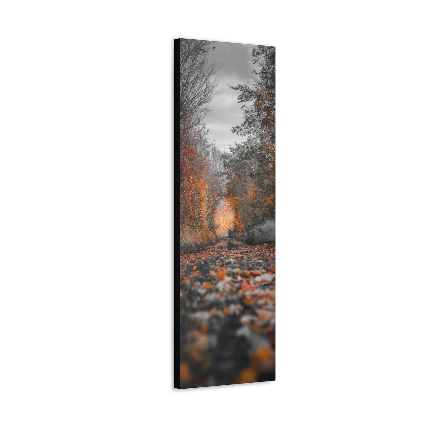 Fall road - Foliage, Nature, Forest, Leaves - Canvas Gallery Wraps