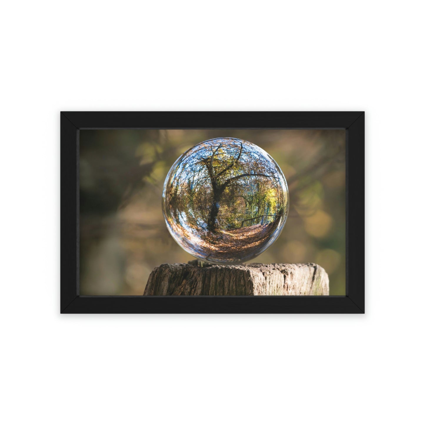 Forest Globe - Framed Poster, Horizontal