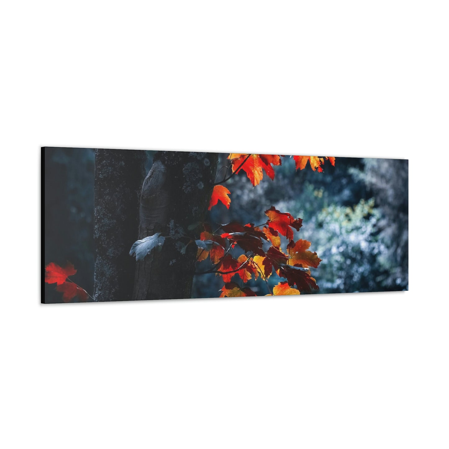 The last Leaves, Fall, Foliage, Nature, Forest - Canvas Gallery Wraps