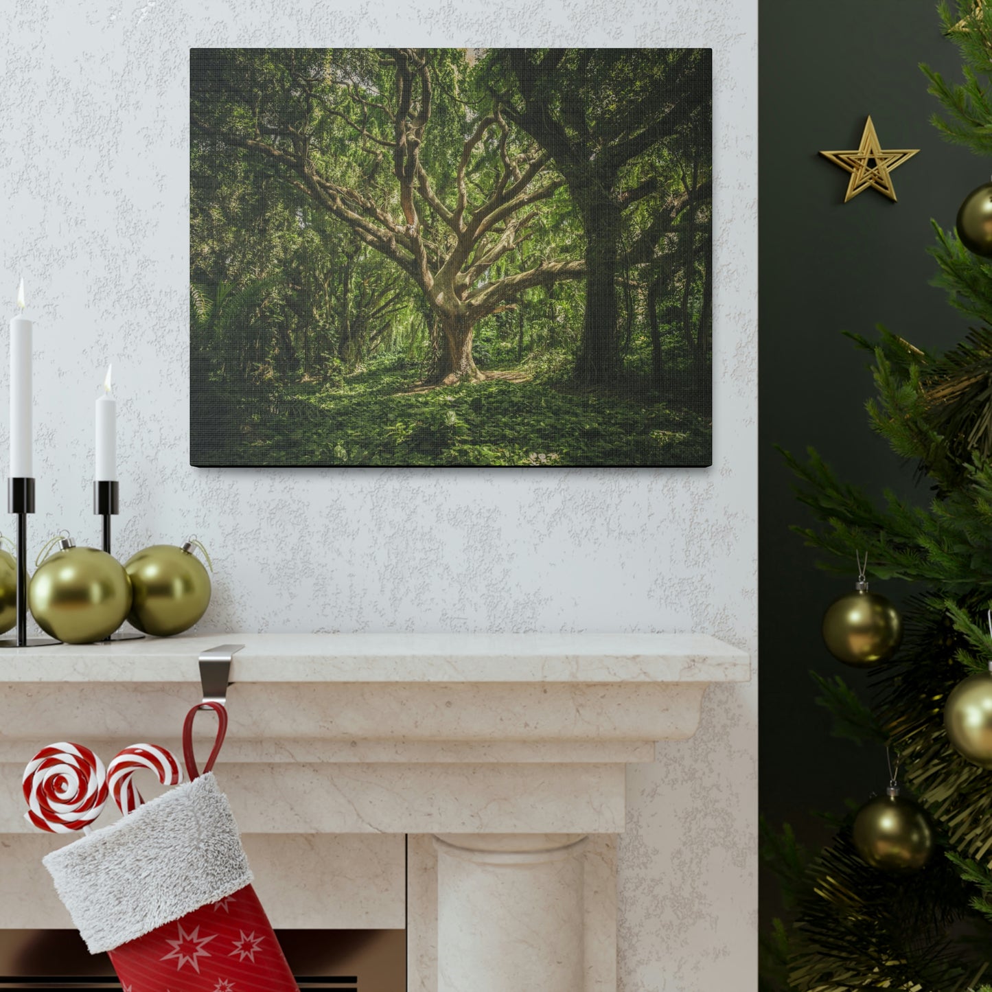 Forest - Tree Canvas Gallery Wraps