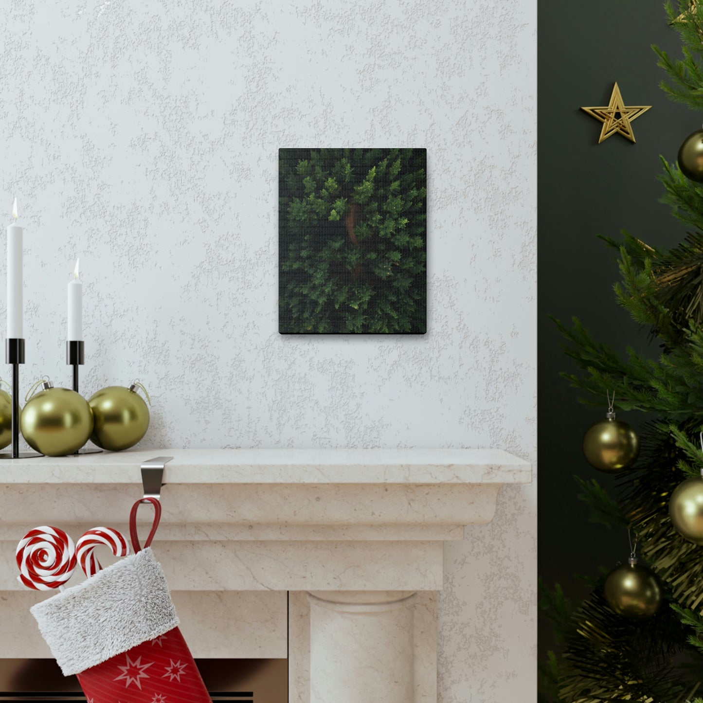 Forest eagle-view - Canvas Gallery Wraps