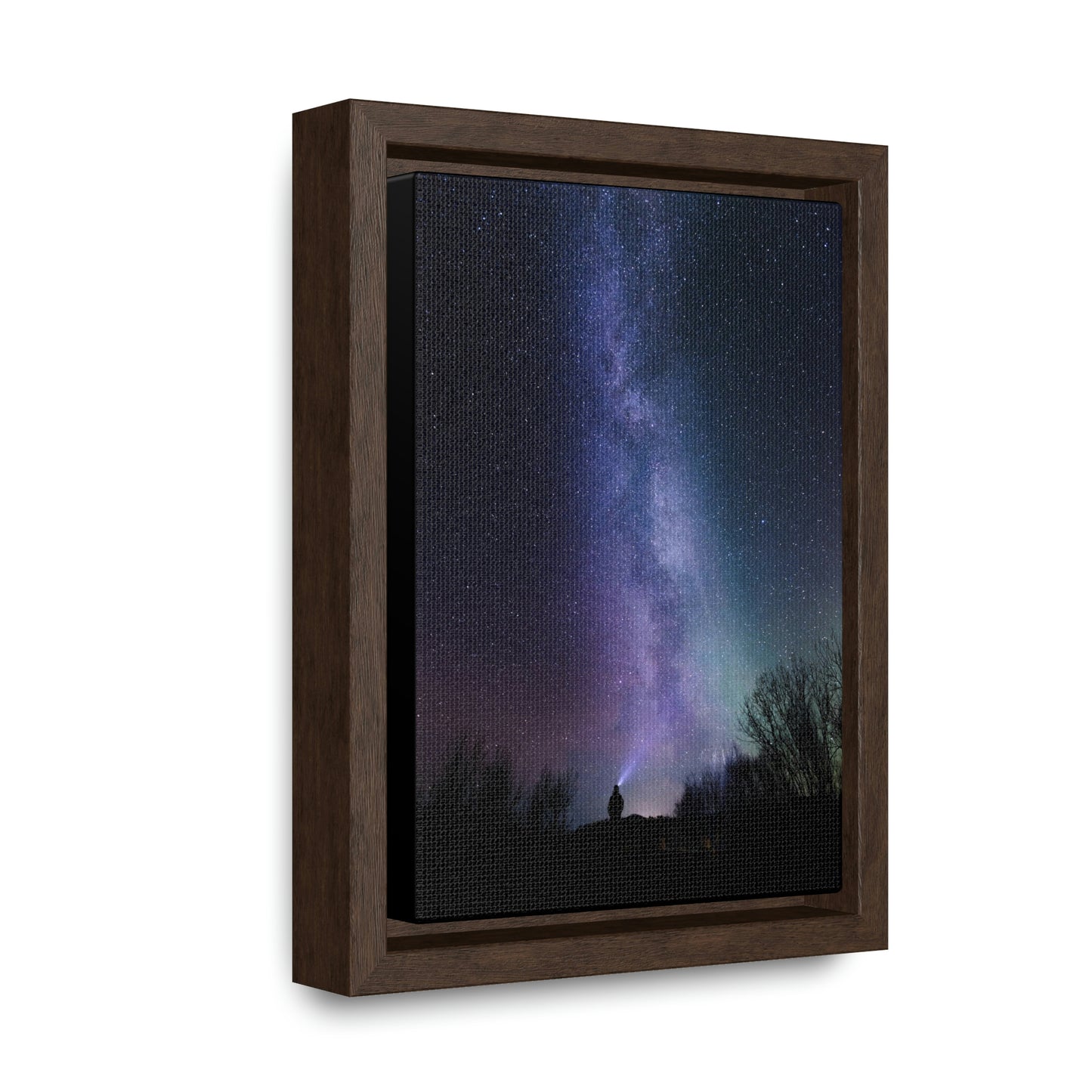 Star Gazer - Gallery Canvas Wraps, Vertical Frame