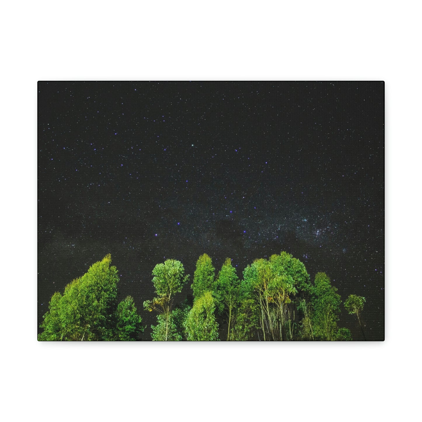 Starry Forest - Star, Forest, Nature - Canvas Gallery Wraps