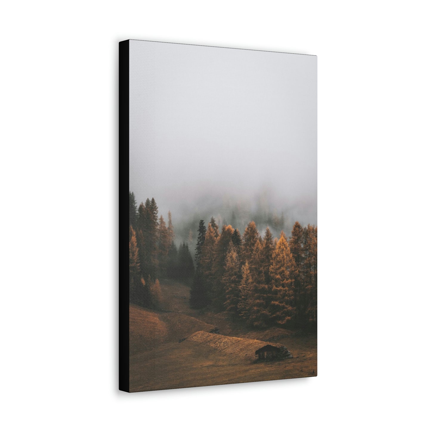 Smokey Mountains, Forest, Fog - Classic Canvas