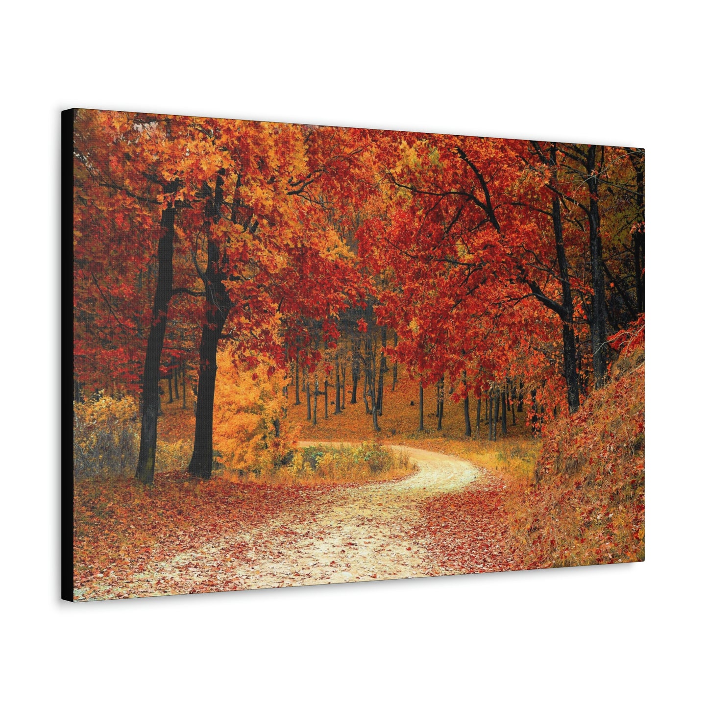 Fall Trail - Foliage forest - Canvas Gallery Wraps