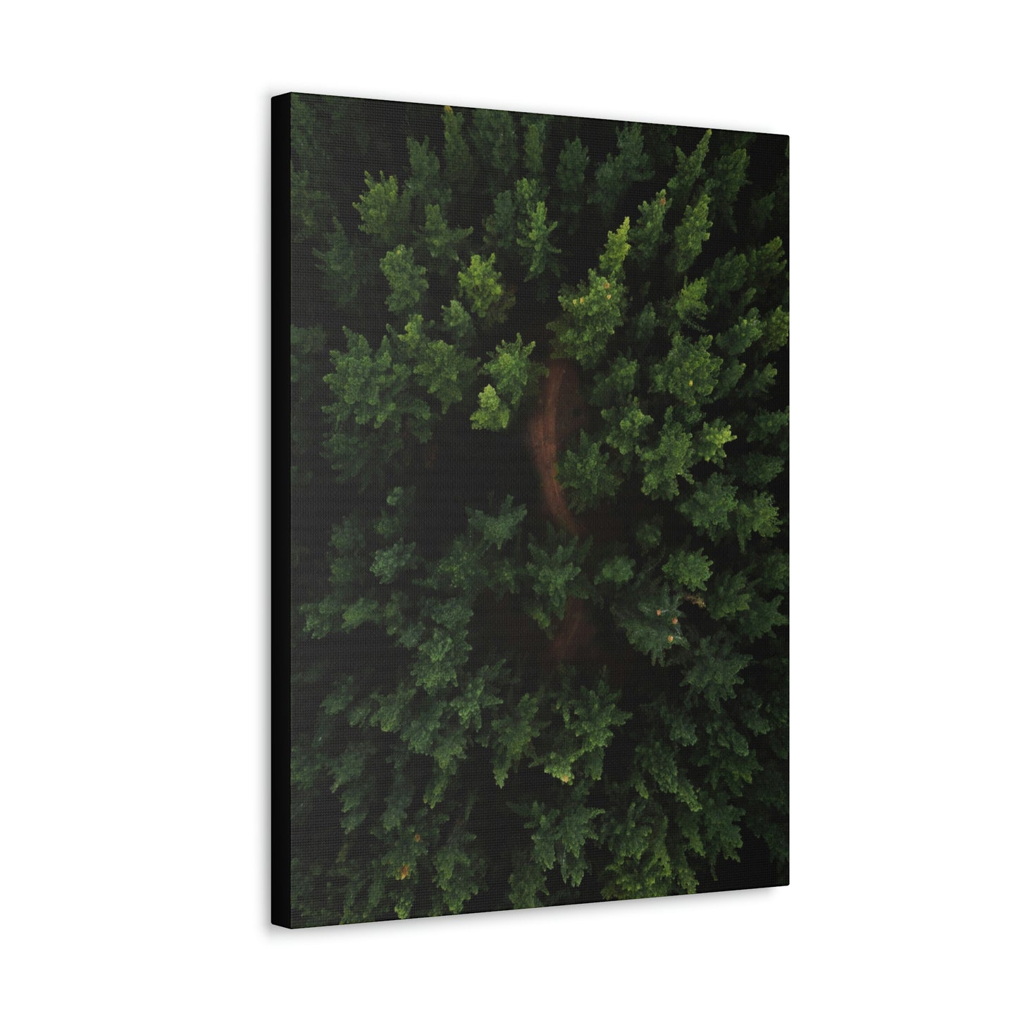 Forest eagle-view - Canvas Gallery Wraps