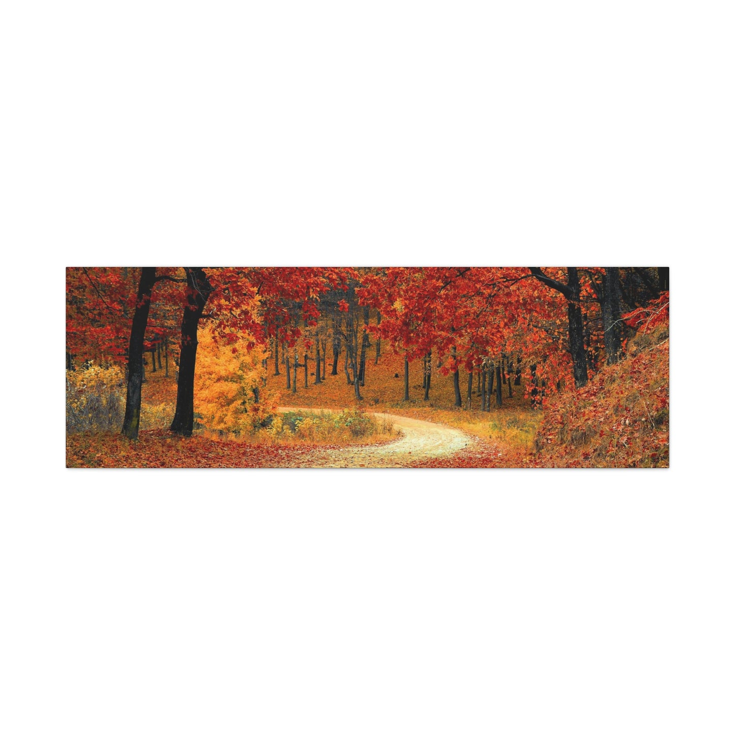 Fall Trail - Foliage forest - Canvas Gallery Wraps
