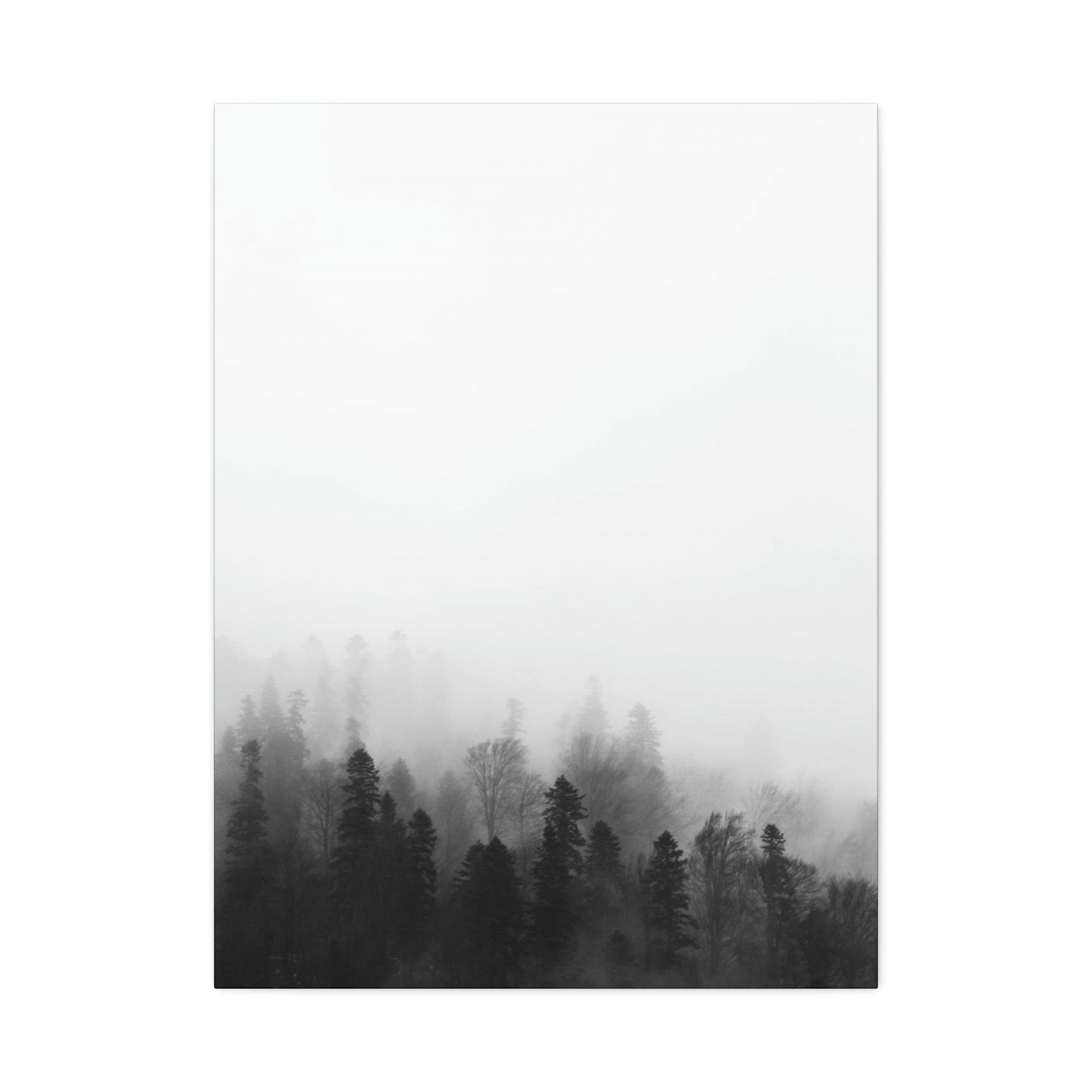 Forest, Black & White, Tree line, Nature, Fog, B and W Tree line Polyester Canvas