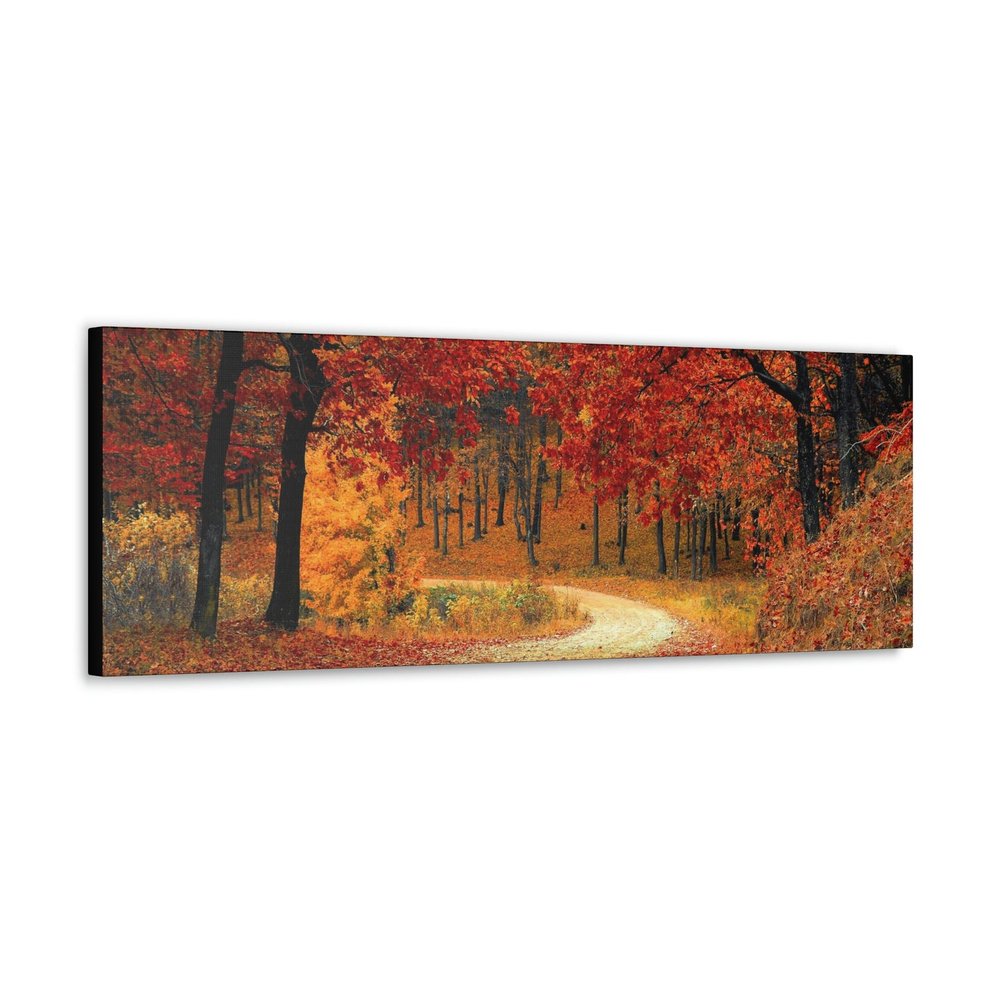 Fall Trail - Foliage forest - Canvas Gallery Wraps
