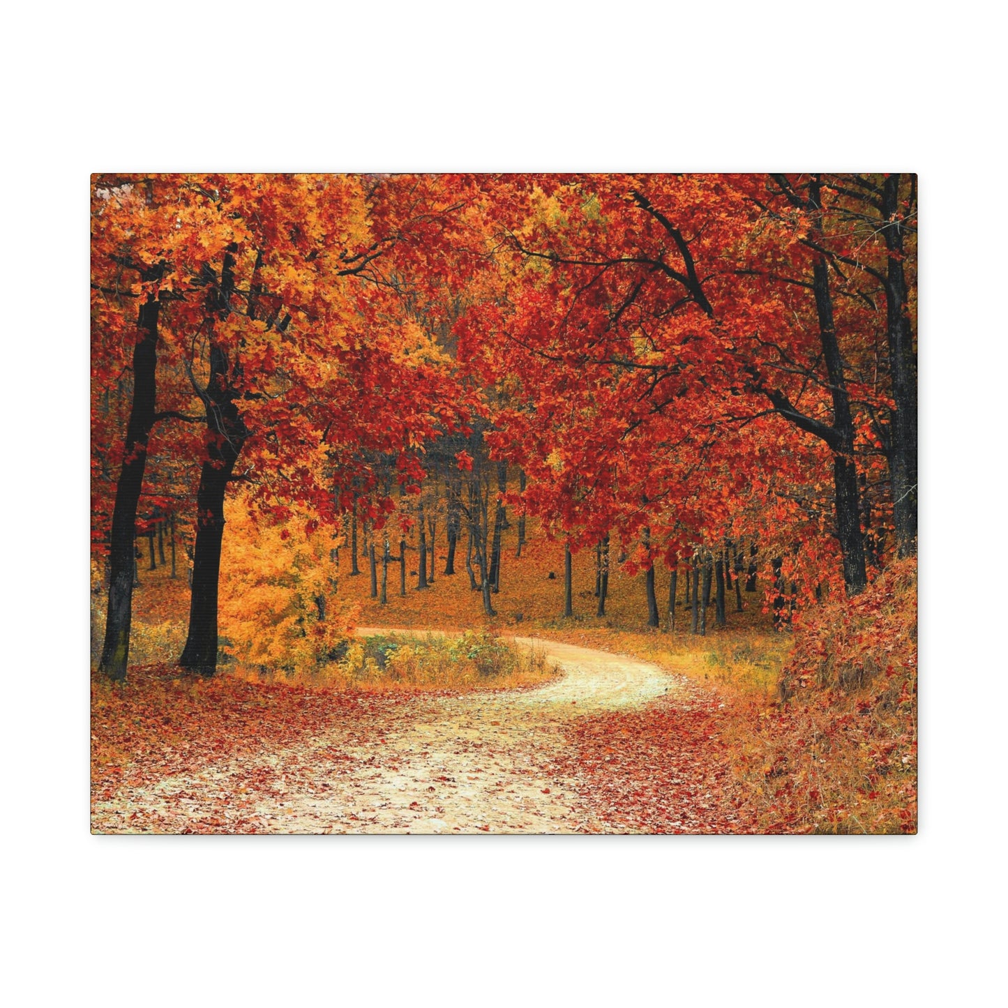 Fall Trail - Foliage forest - Canvas Gallery Wraps