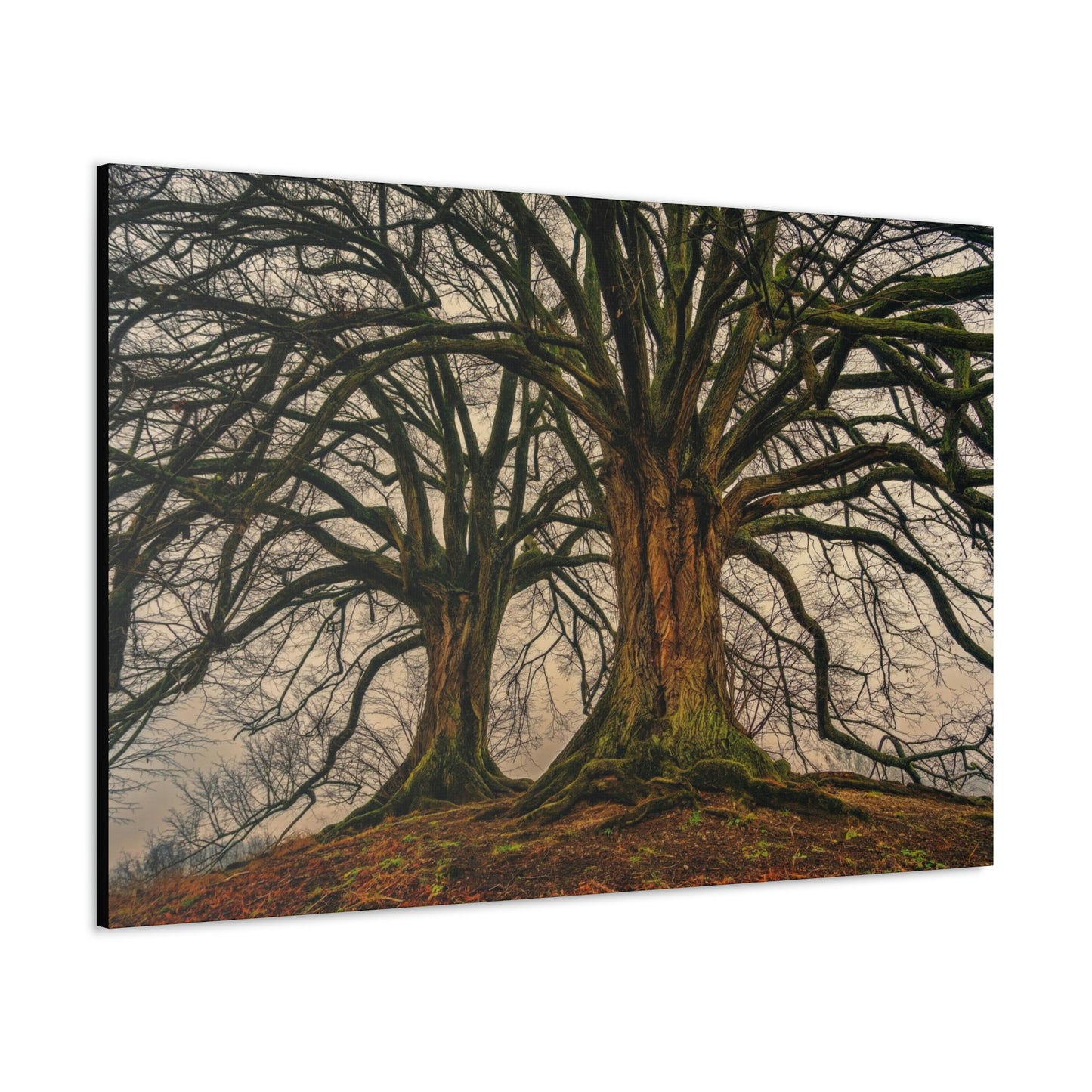 Dark Trees - Nature, Trees, Dark Canvas Gallery Wraps