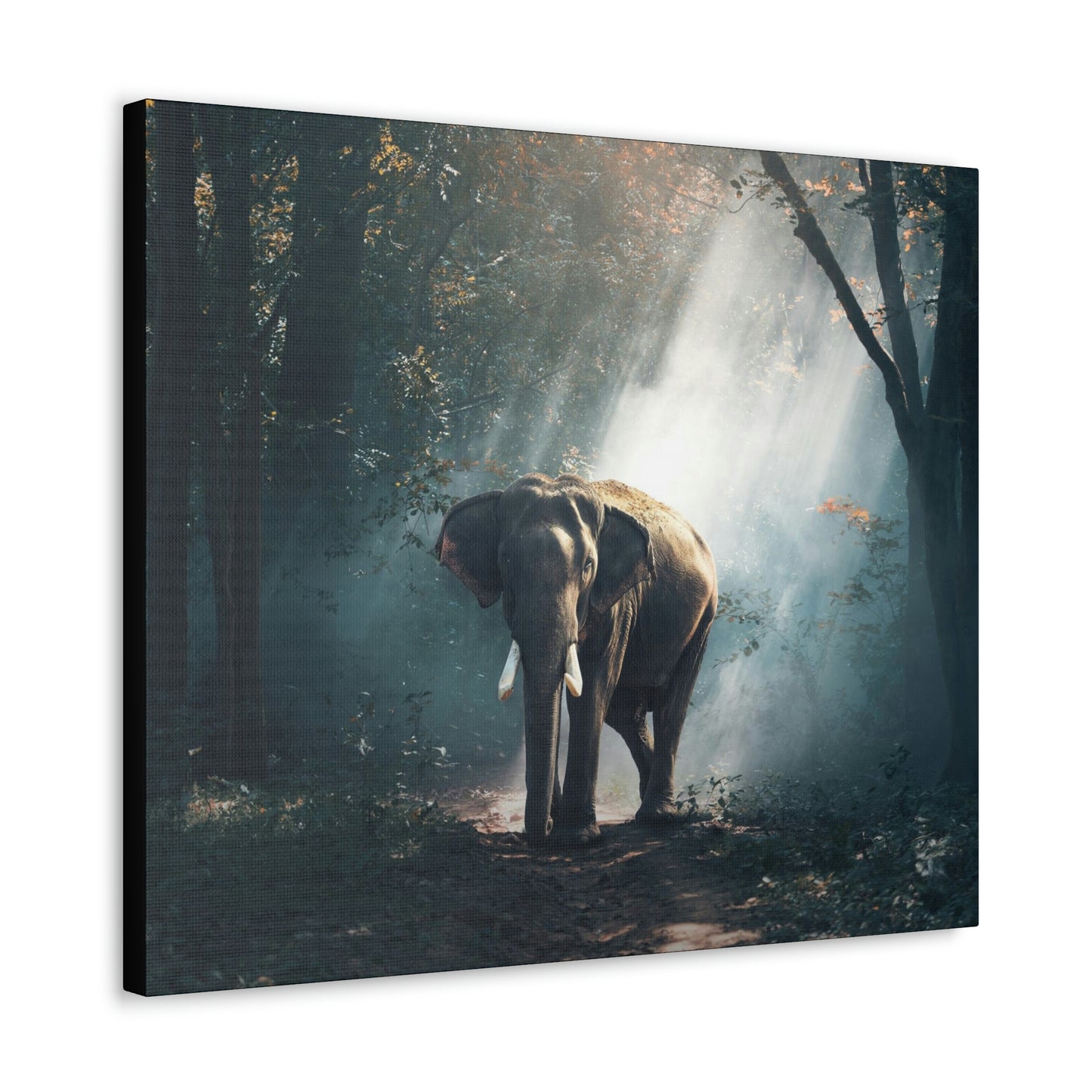 Elephant - Nature, Jungle Canvas Gallery Wraps