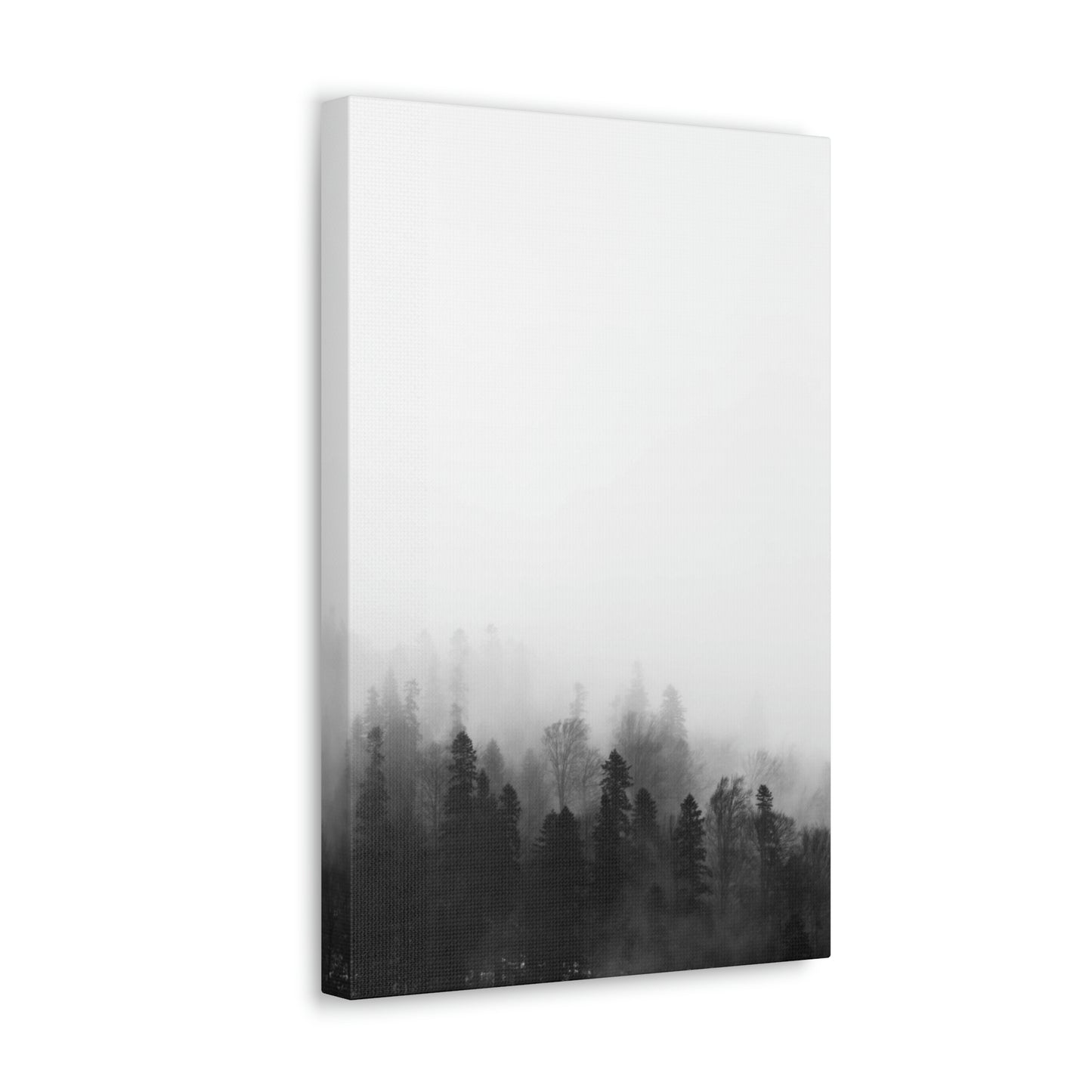 B&W Forest - Canvas Gallery Wraps