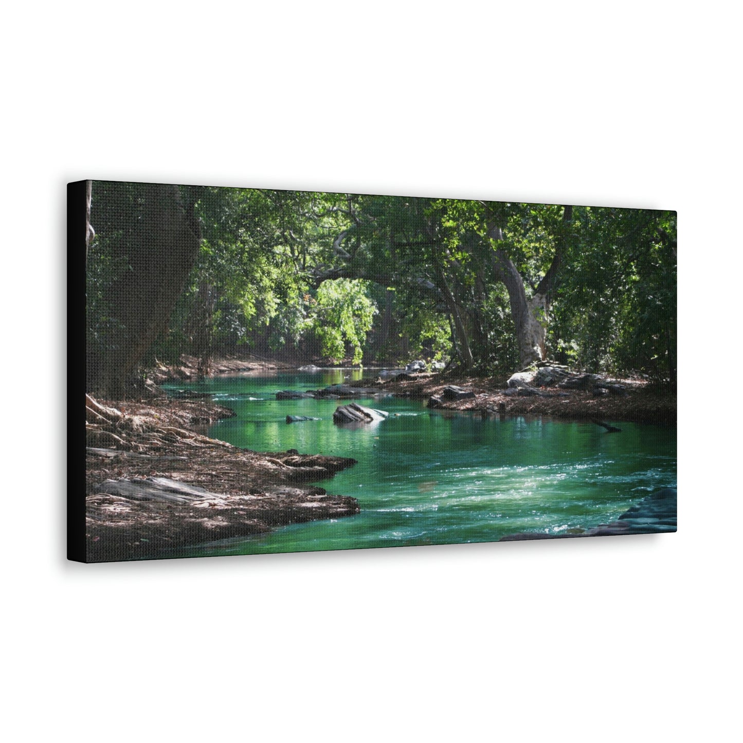 Scenic River - Forest - Canvas Gallery Wraps