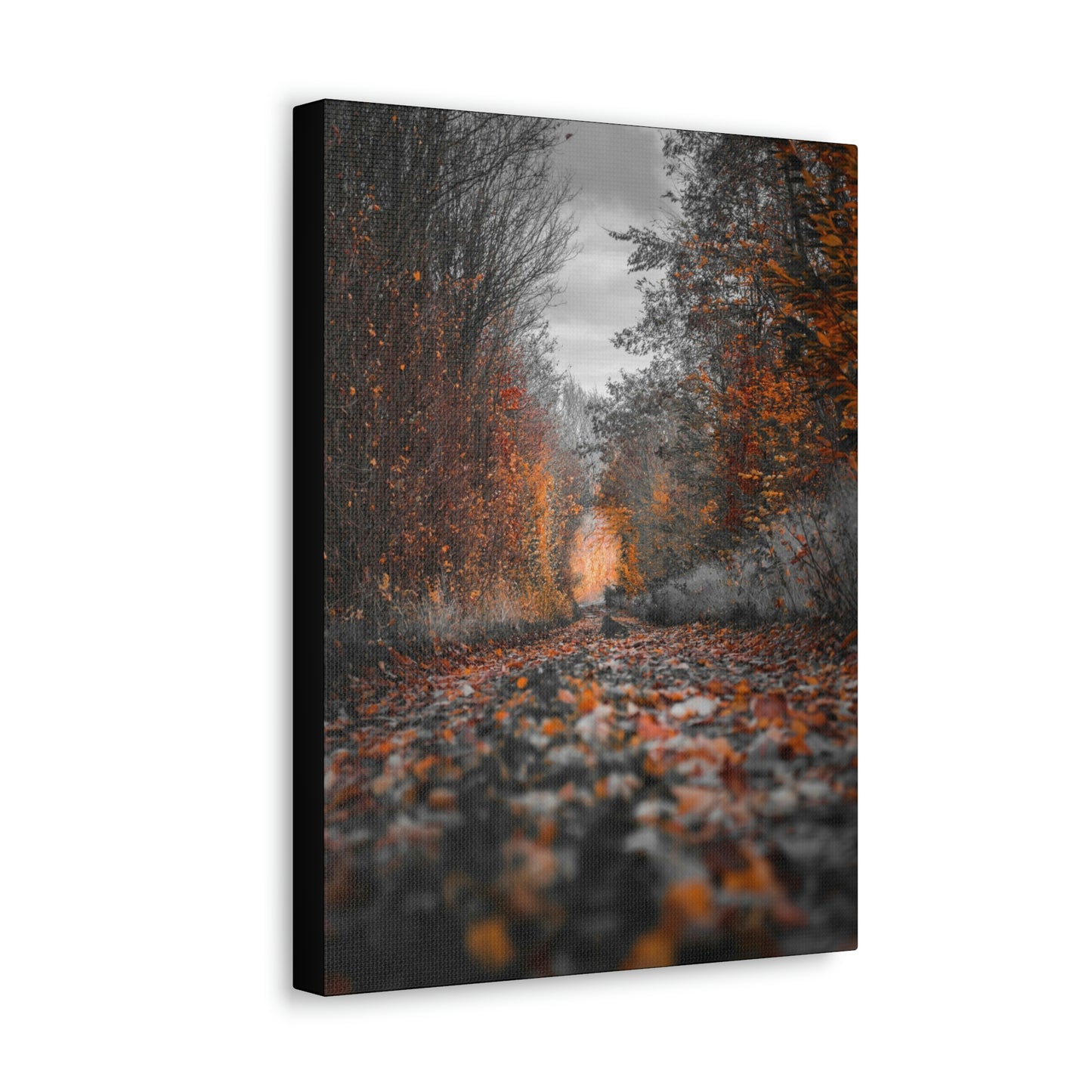 Fall road - Foliage, Nature, Forest, Leaves - Canvas Gallery Wraps