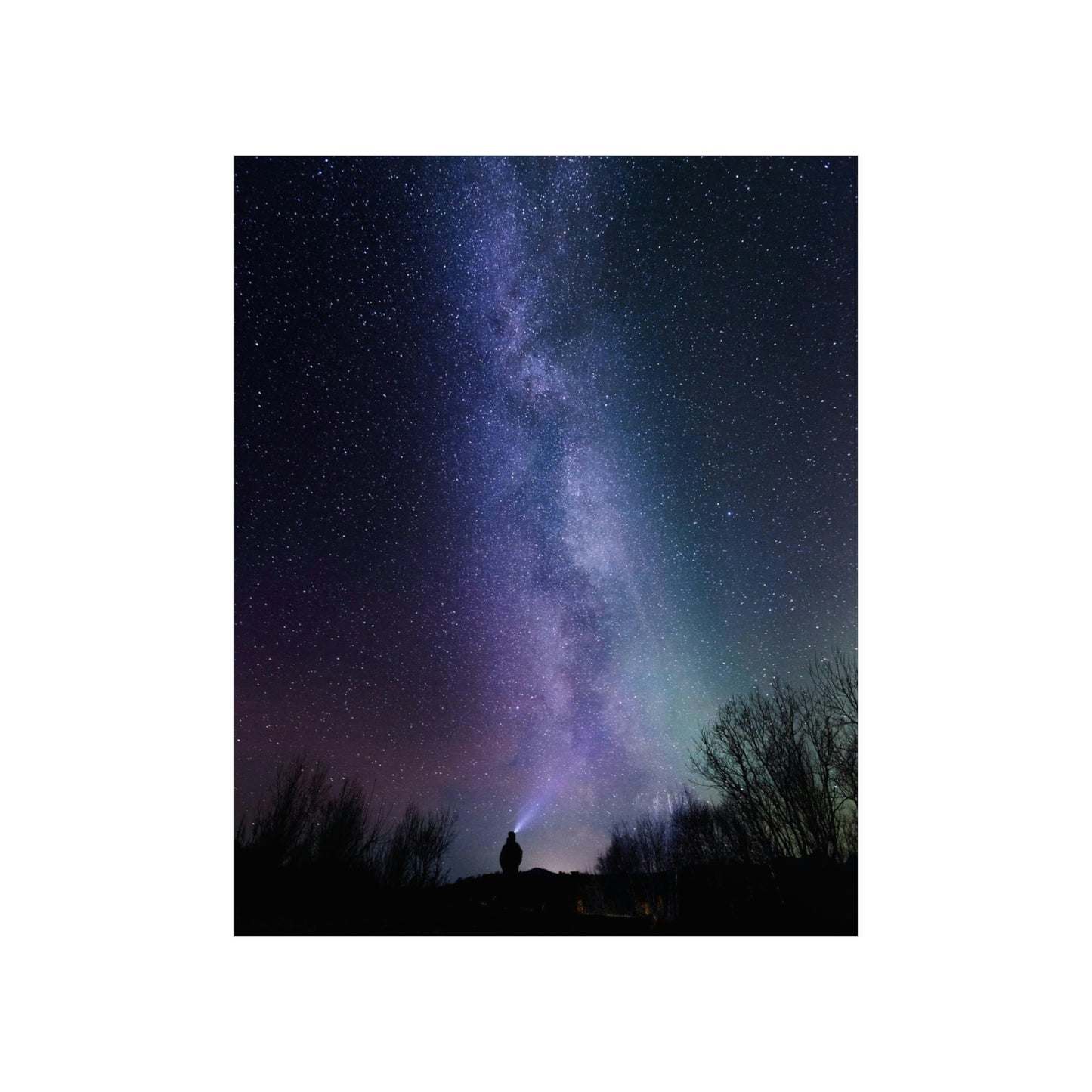 Stars Gazer - Premium Matte Vertical Posters