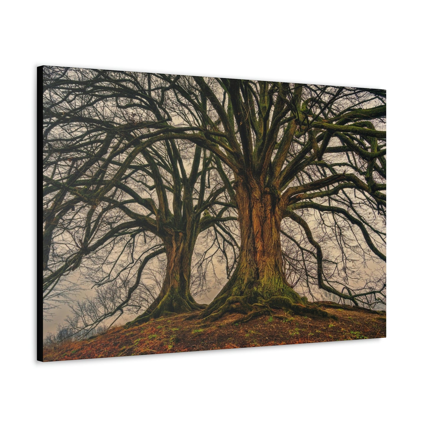 Dark Trees - Nature, Trees, Dark Canvas Gallery Wraps