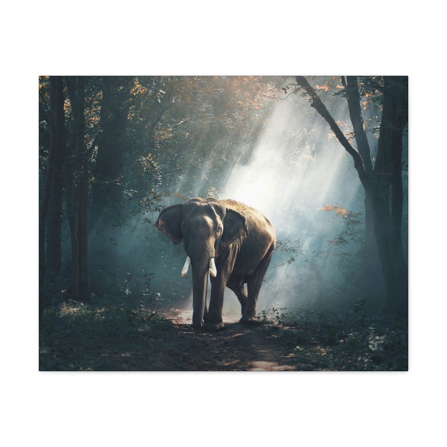 Elephant - Nature, Jungle Canvas Gallery Wraps