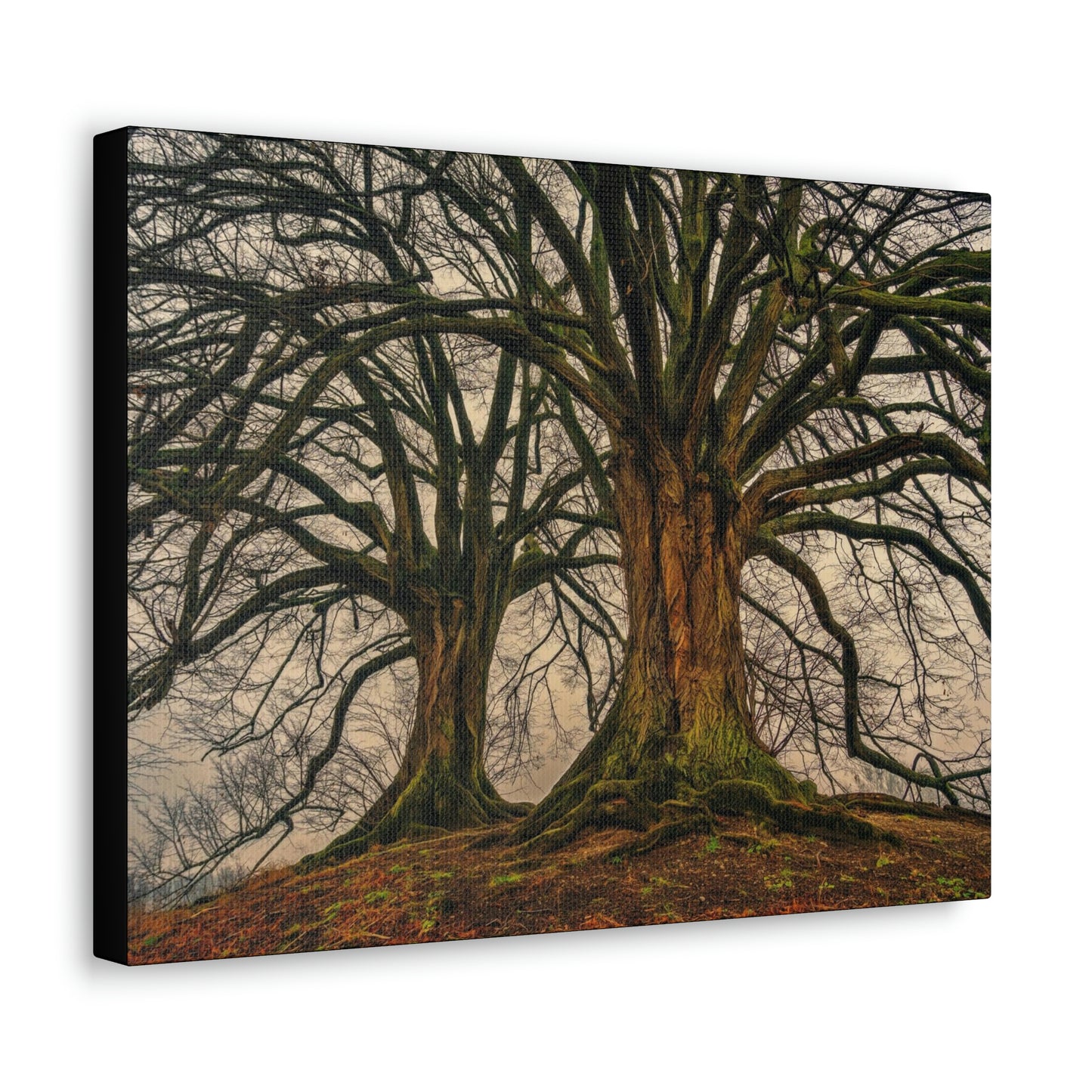 Dark Trees - Nature, Trees, Dark Canvas Gallery Wraps