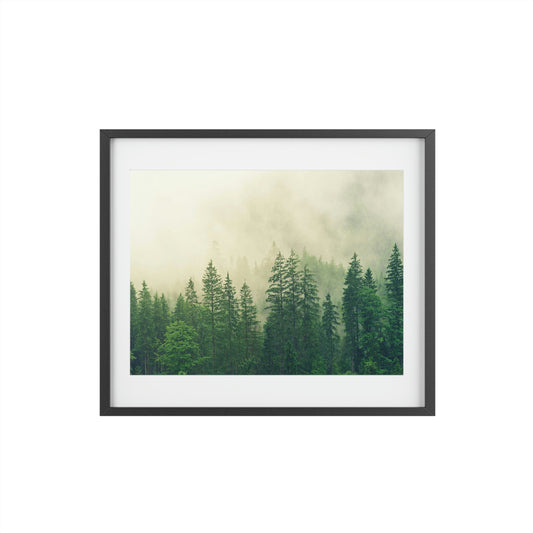 Foggy Forest - Framed Posters, Matte