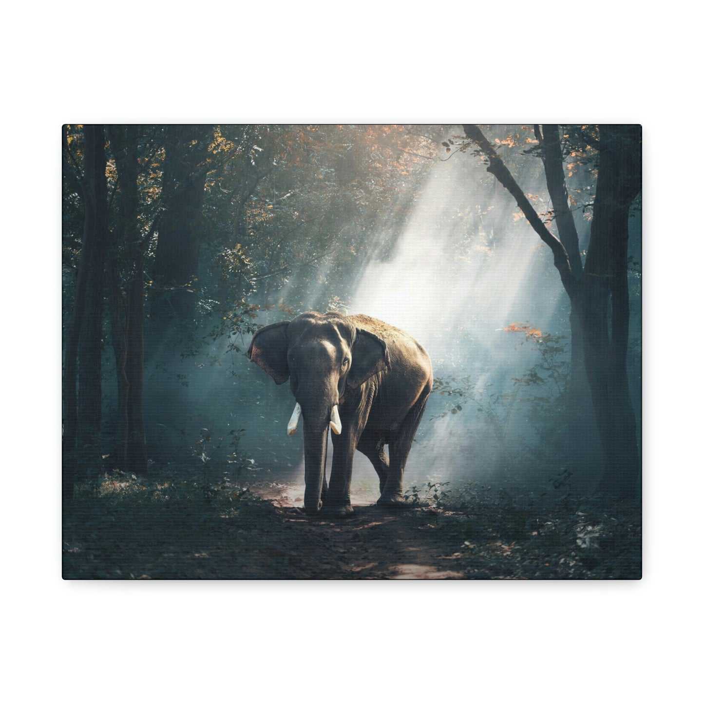 Elephant - Nature, Jungle Canvas Gallery Wraps