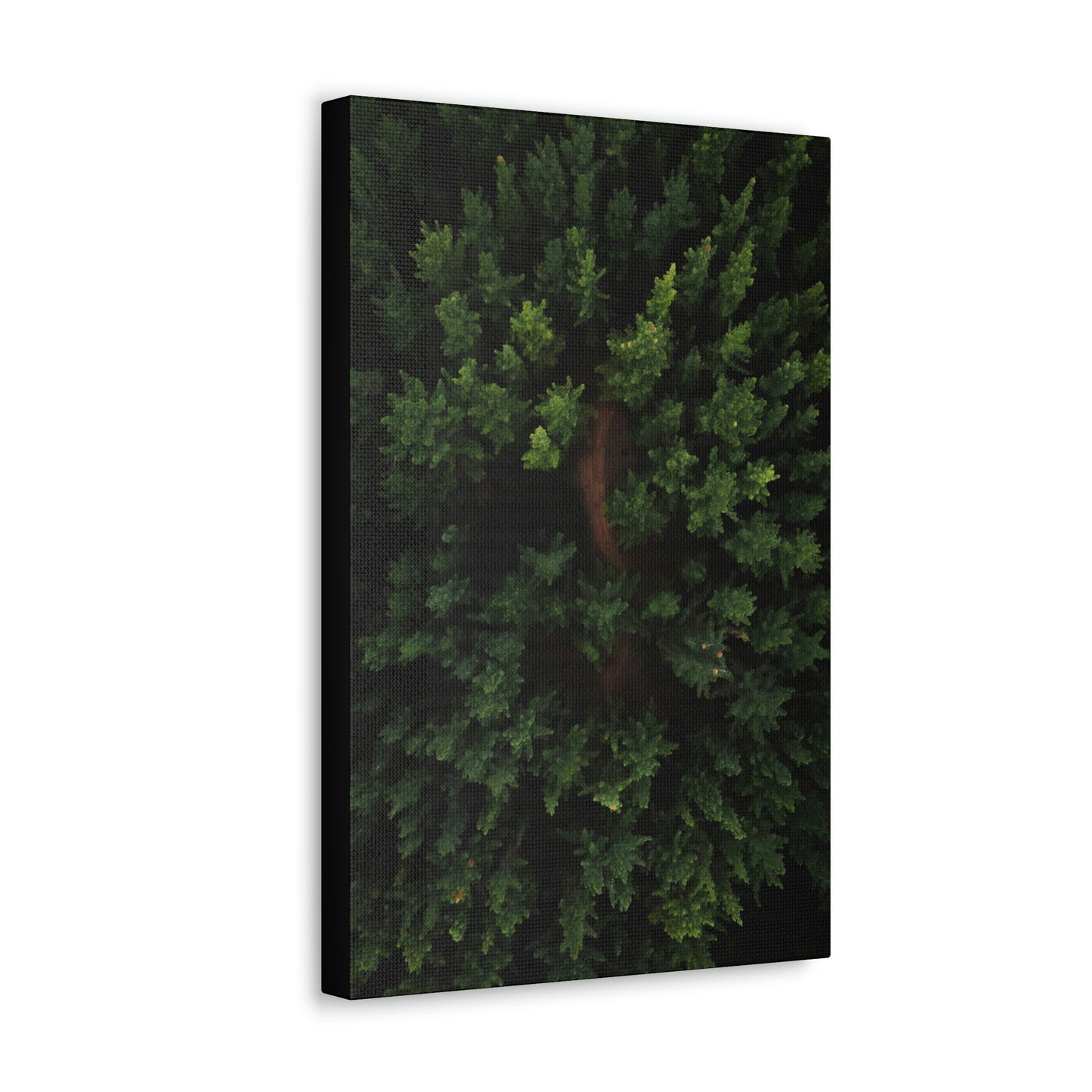 Forest eagle-view - Canvas Gallery Wraps